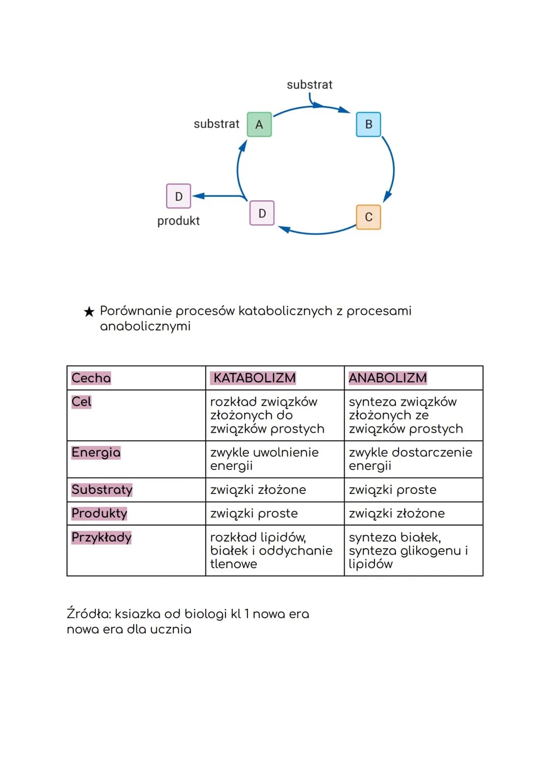 Atlas de
Anatomía
Humana
3'edición
Frank H. Netter. м.о.
#MASSON
METABOLIZM
I. KIERUNKI PRZEMIAN METABOLICZNYCH
* Metabolizm to ogół prz
