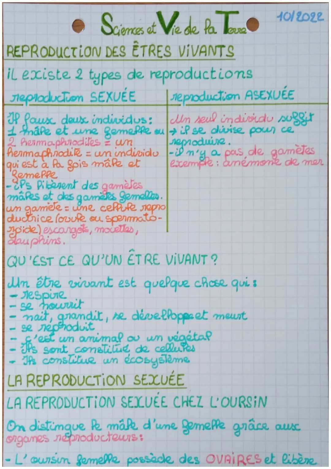 # Sciences et Vie de la Tore 10/2022
# REPRODUCTION DES ÊTRES VIVANTS
il existe 2 types de reproductions
reproduction SEXUÉE
reproductio