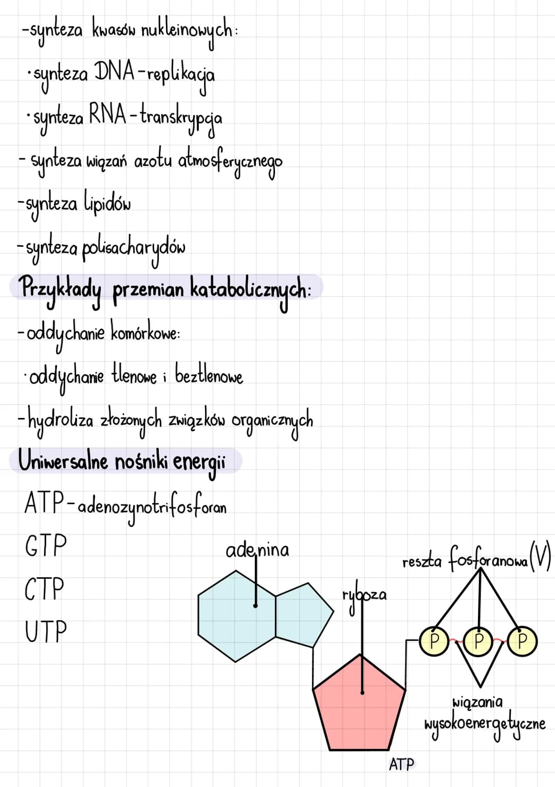 # Podstawowe zasady metabolizmu
Metabolizm i jego kierunki
Metabolizm-całość przemian chemicznych i energetycznych komórki
Kierunki przem