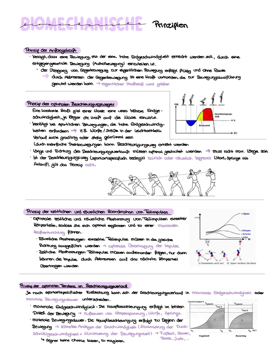 # Biomechanische Prinzipien
Prinzip der Anfangskraft
- besagt, dass eine Bewegung, mit der eine hohe Endgeschwindigkeit erreicht werden so