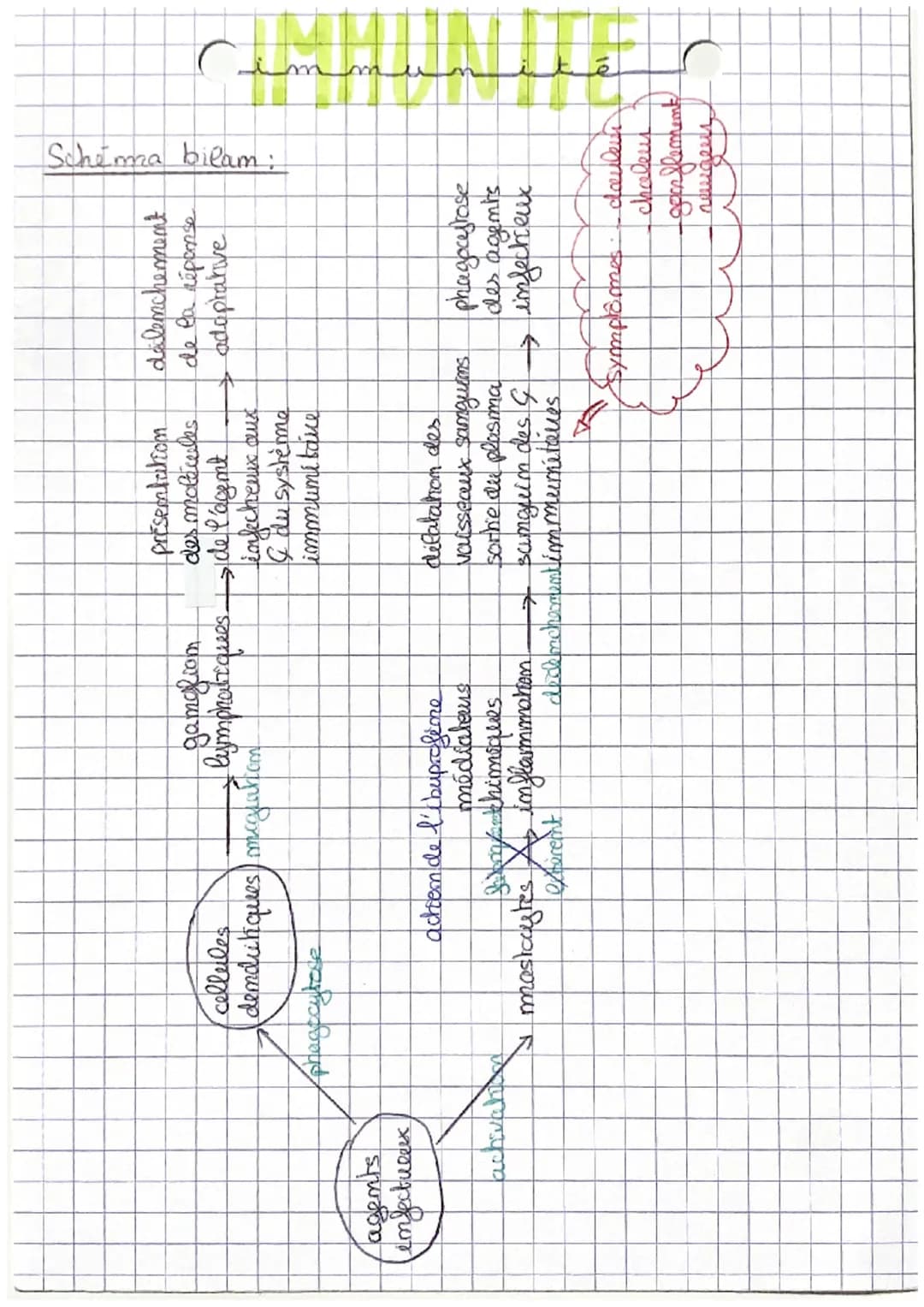 C
m
CHAP 1: L'immumite immée
Les organismes vivants sont confrontés à de multiples danger
+ micro-orgamismes pathogemes (bactéries, vinus,