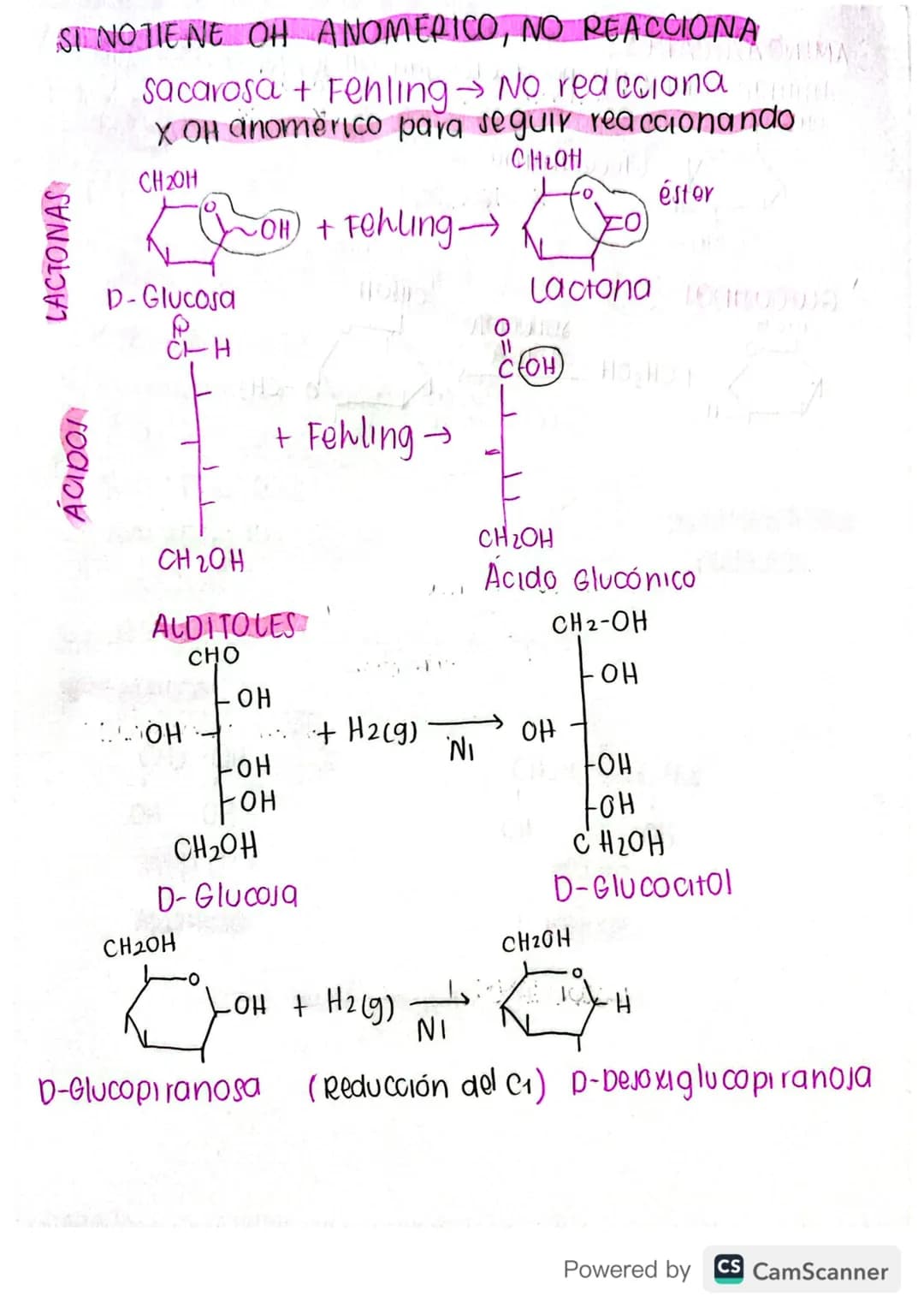 # QUÍMICA.
organica
PARCIAL #3
carbohidratos
GENERALIDADES
① Nomenclatura termina en OSA
② 3 a 6 carbonos
③ Son POLARES
4 Solubles en AGUA
⑤