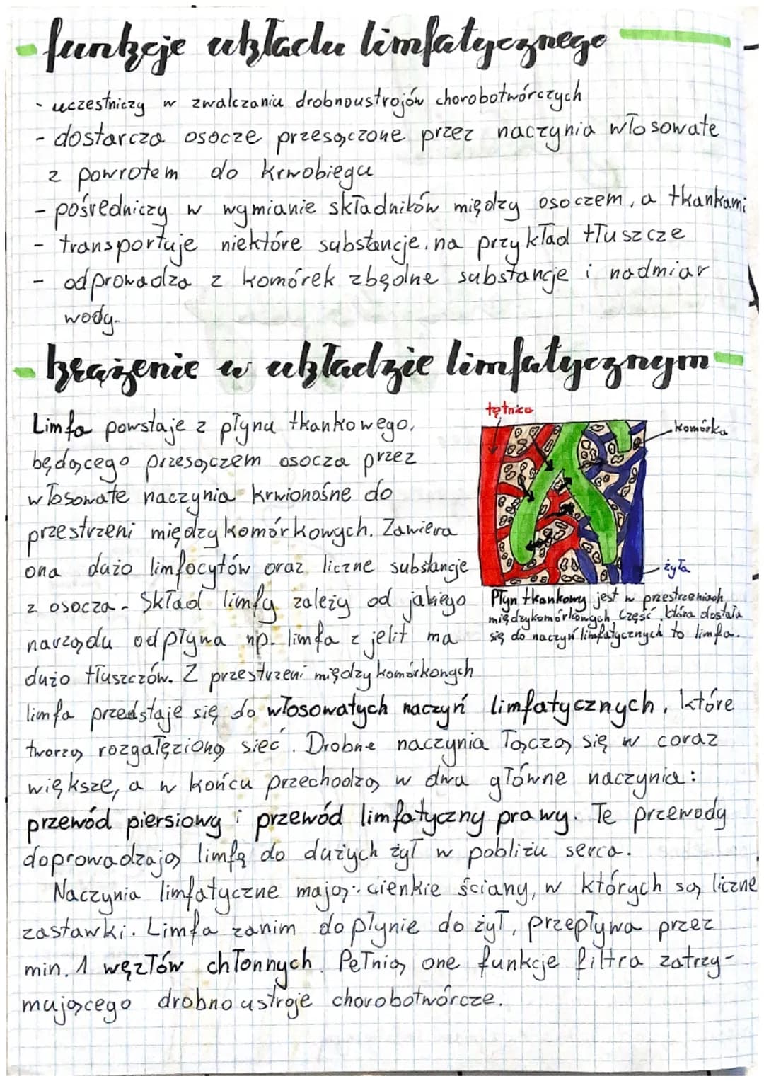 # Uklad
limfalgezamy
budowa uztadr
limfatycznego
Układ limfatyczny składa się z
naczyń limfatycznych, w których znajduje
się płyn zwany