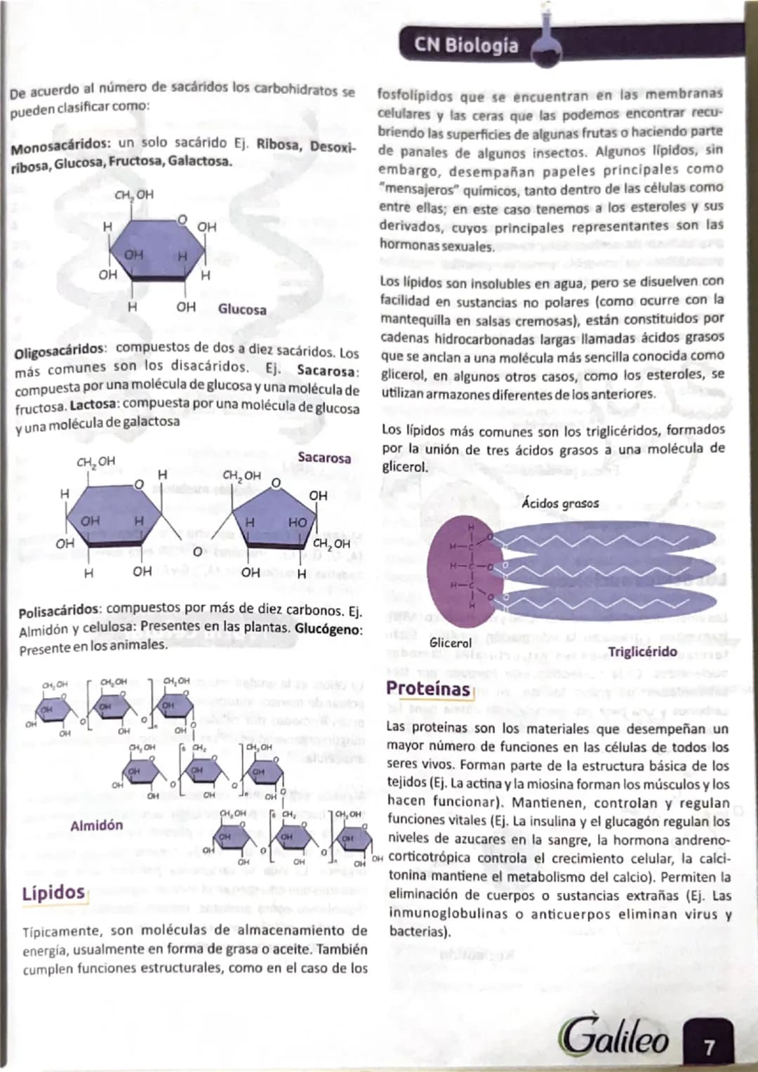 La biología de
las células
La biología busca entender la estructura y dinámica
funcional de todos los seres vivos, las interacciones que se