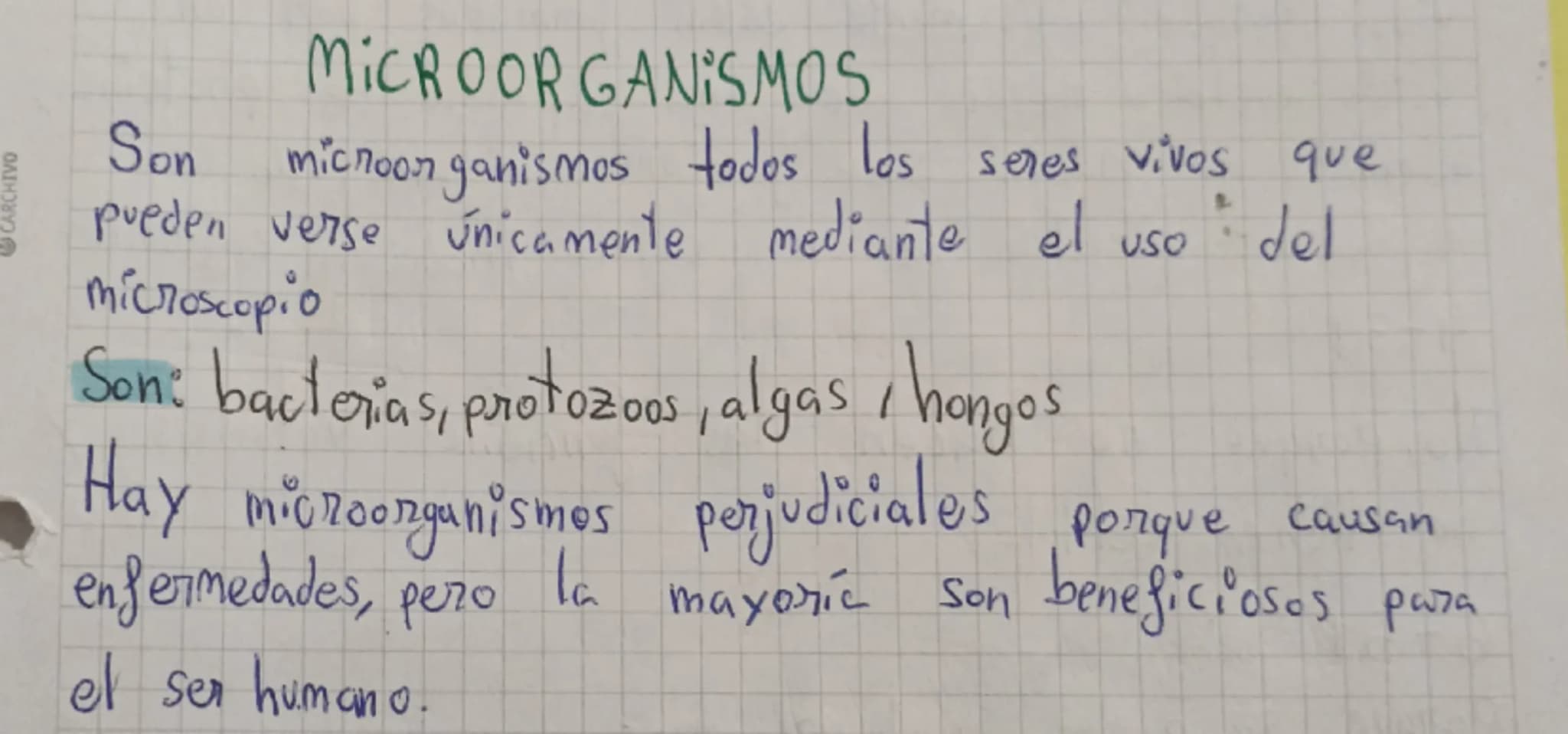 # MICROORGANISMOS
Son microorganismos todos los seres vivos que
pueden verse únicamente mediante el uso del
microscopio
Son: bacterias, pr
