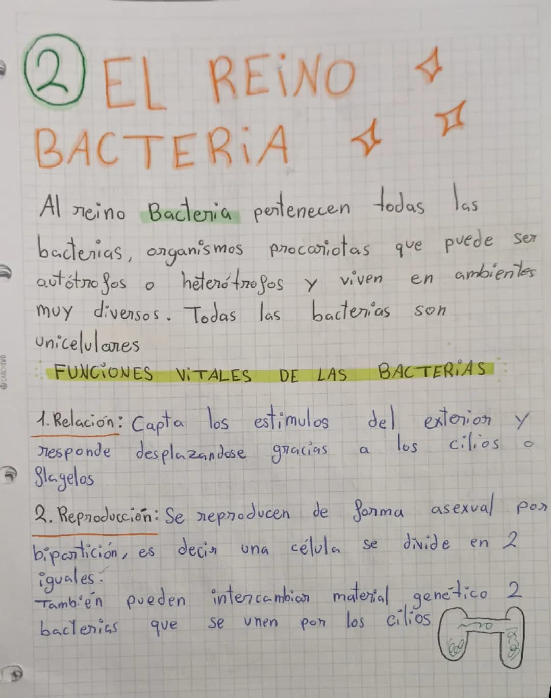 # MICROORGANISMOS
Son microorganismos todos los seres vivos que
pueden verse únicamente mediante el uso del
microscopio
Son: bacterias, pr