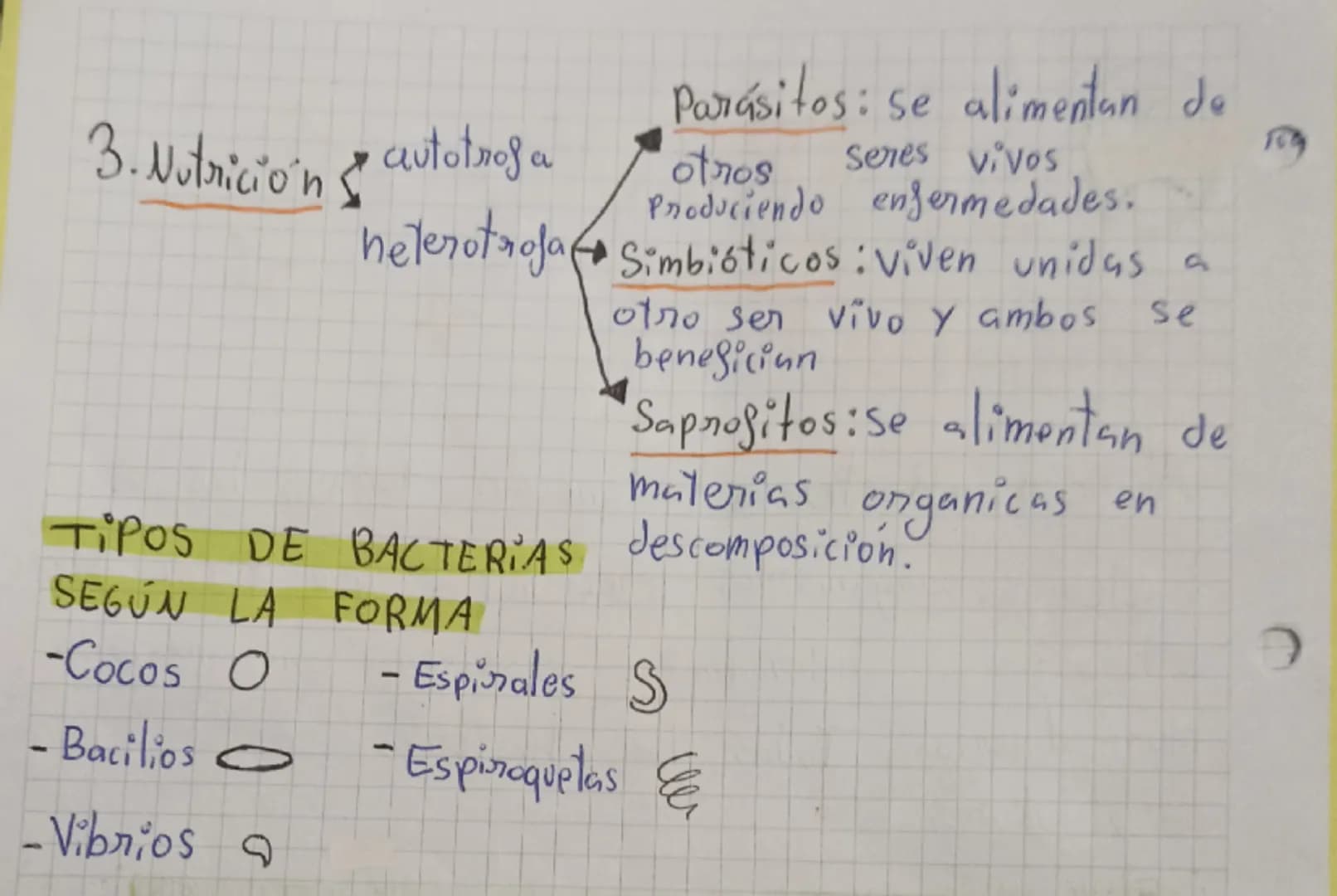 # MICROORGANISMOS
Son microorganismos todos los seres vivos que
pueden verse únicamente mediante el uso del
microscopio
Son: bacterias, pr