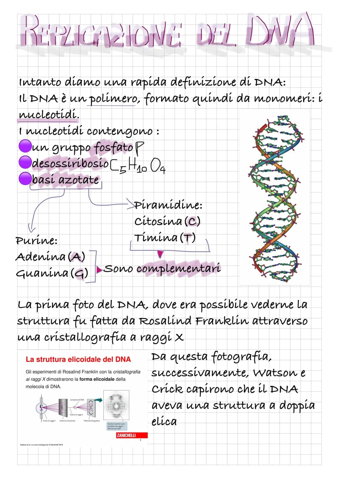 # REPLICAZIONE DEL DVA
Intanto diamo una rapida definizione di DNA:
Il DNA è un polímero, formato quindi da monomeri: í
nucleotidi.
I nucle