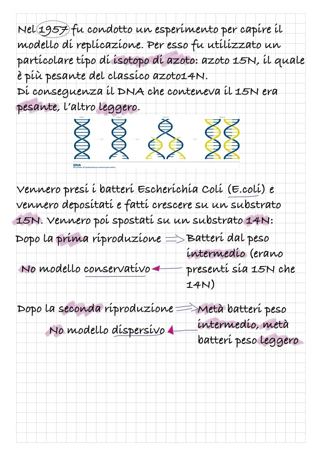 # REPLICAZIONE DEL DVA
Intanto diamo una rapida definizione di DNA:
Il DNA è un polímero, formato quindi da monomeri: í
nucleotidi.
I nucle