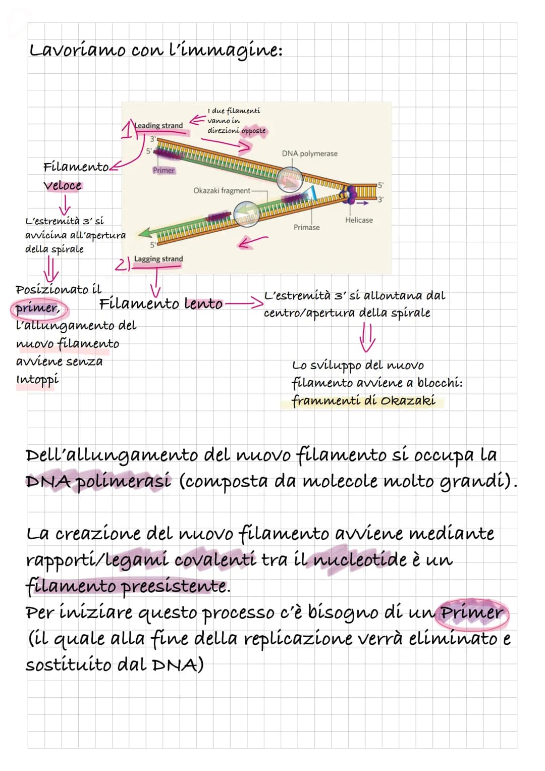 # REPLICAZIONE DEL DVA
Intanto diamo una rapida definizione di DNA:
Il DNA è un polímero, formato quindi da monomeri: í
nucleotidi.
I nucle