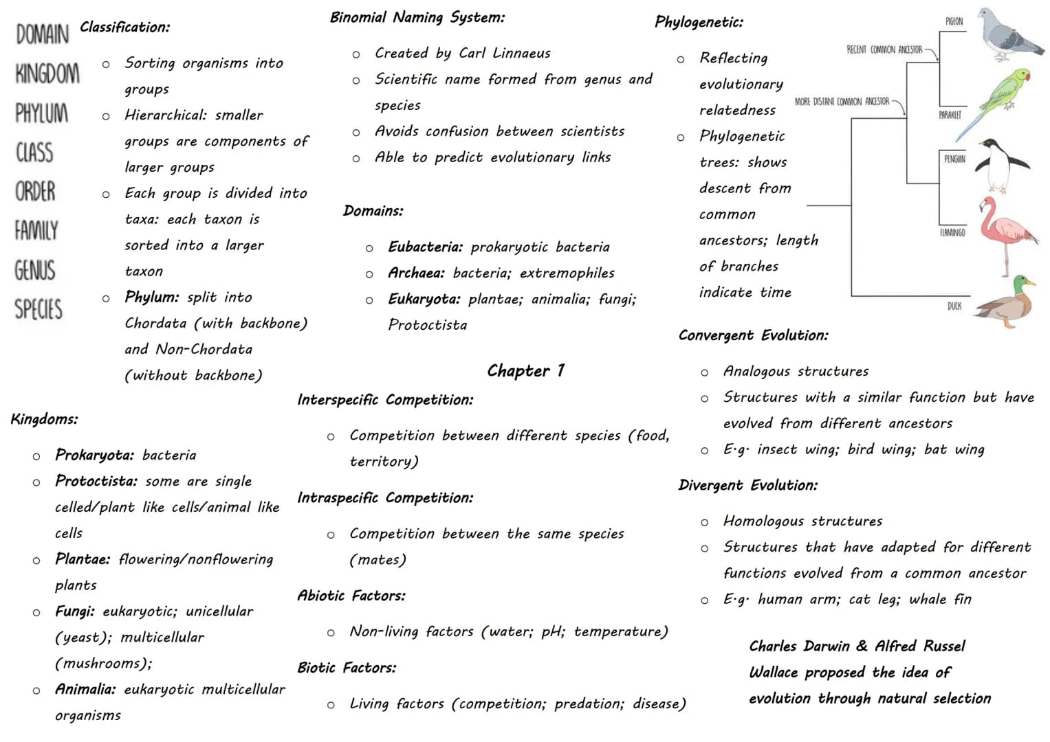 DOMAIN Classification:
KINGDOM
PHYLUM
CLASS
ORDER
FAMILY
GENUS
SPECIES
- Sorting organisms into
groups
- Hierarchical: smaller
groups are c