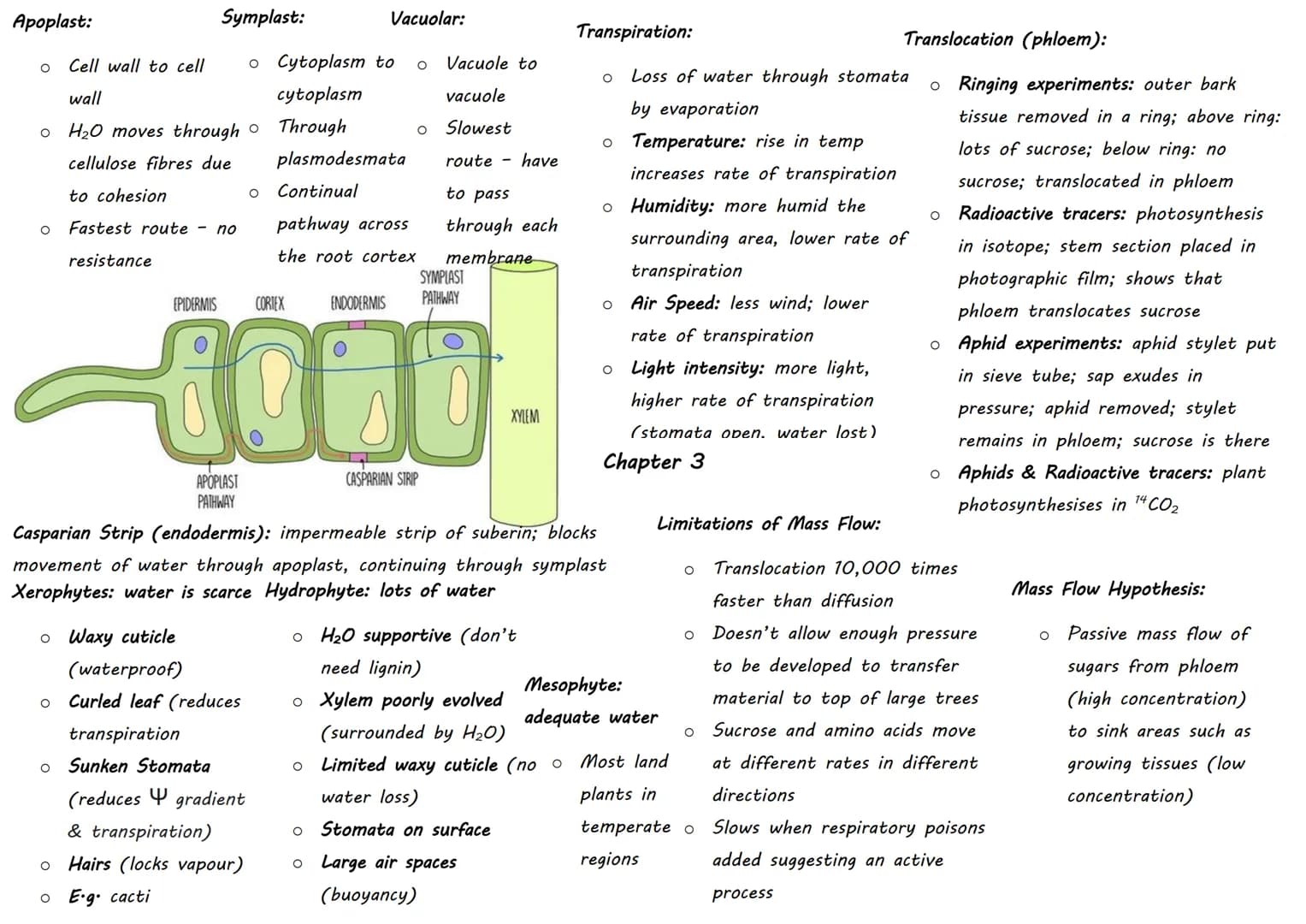 DOMAIN Classification:
KINGDOM
PHYLUM
CLASS
ORDER
FAMILY
GENUS
SPECIES
- Sorting organisms into
groups
- Hierarchical: smaller
groups are c