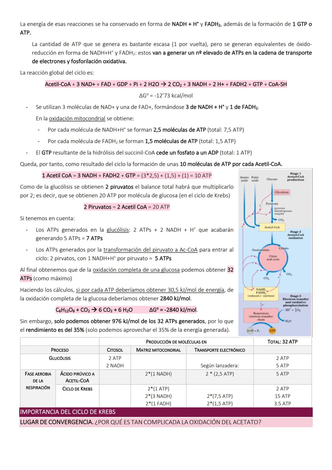 # Ciclo de Krebs.
El ciclo de Krebs, de los ácidos tricarboxílicos o del ácido cítrico, consiste en una
serie de reacciones que van a permi