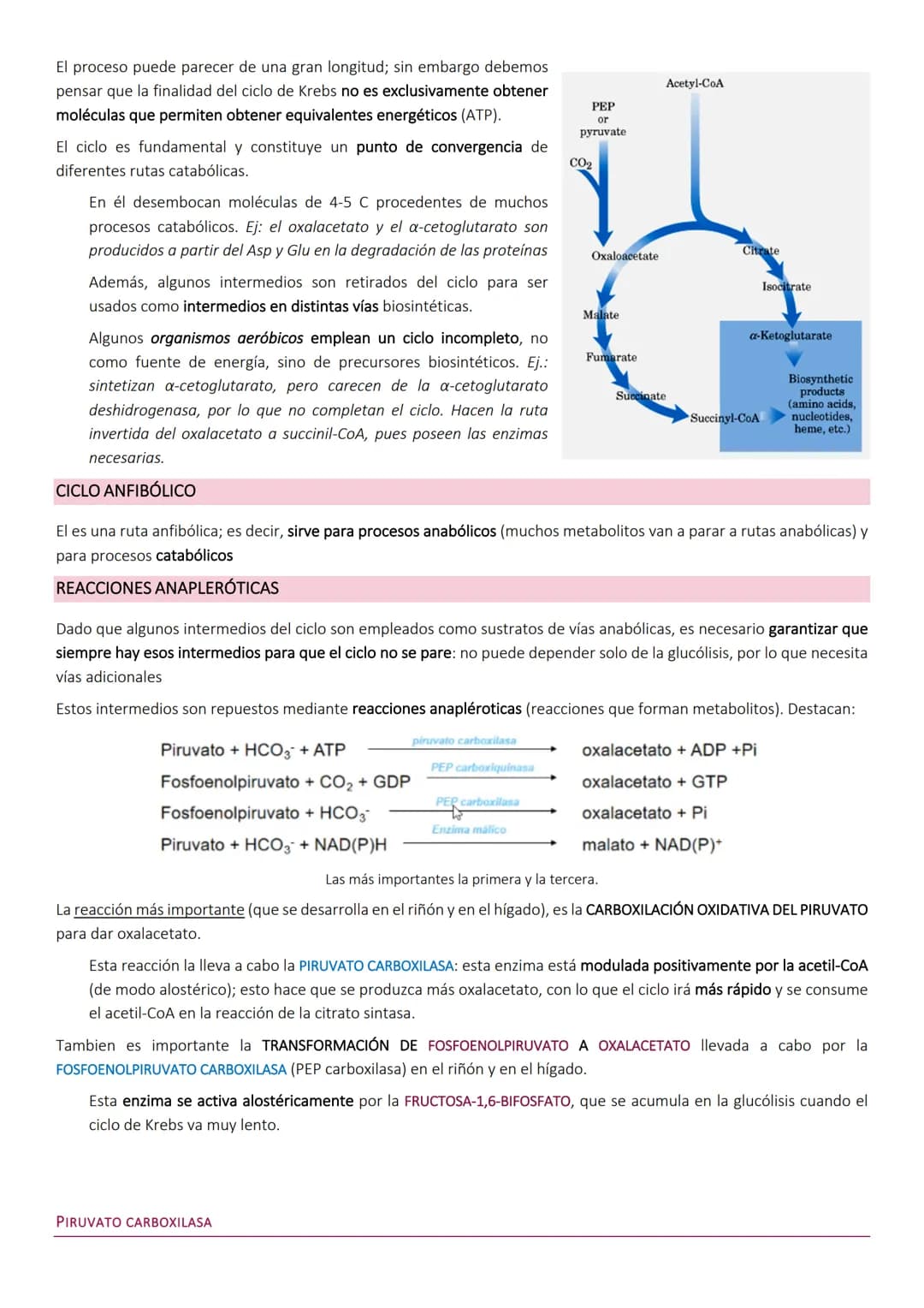 # Ciclo de Krebs.
El ciclo de Krebs, de los ácidos tricarboxílicos o del ácido cítrico, consiste en una
serie de reacciones que van a permi