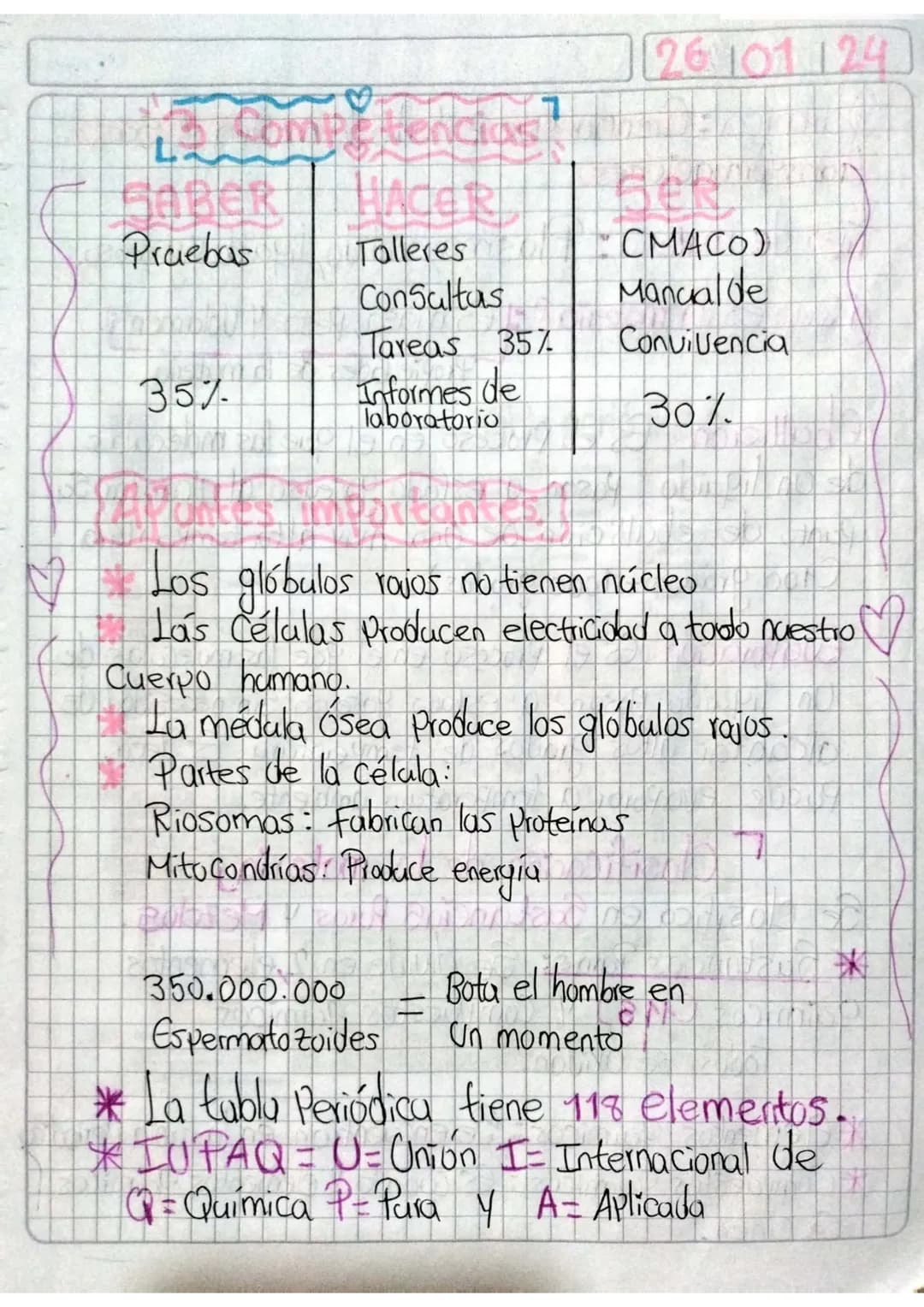 26101124
7
L
Praebas
Talleres
Consultas
CMACO)
Manualde
Tareas 35%
Convivencia
35%
Informes de
laboratorio
30%
Los glóbulos rojos no tienen