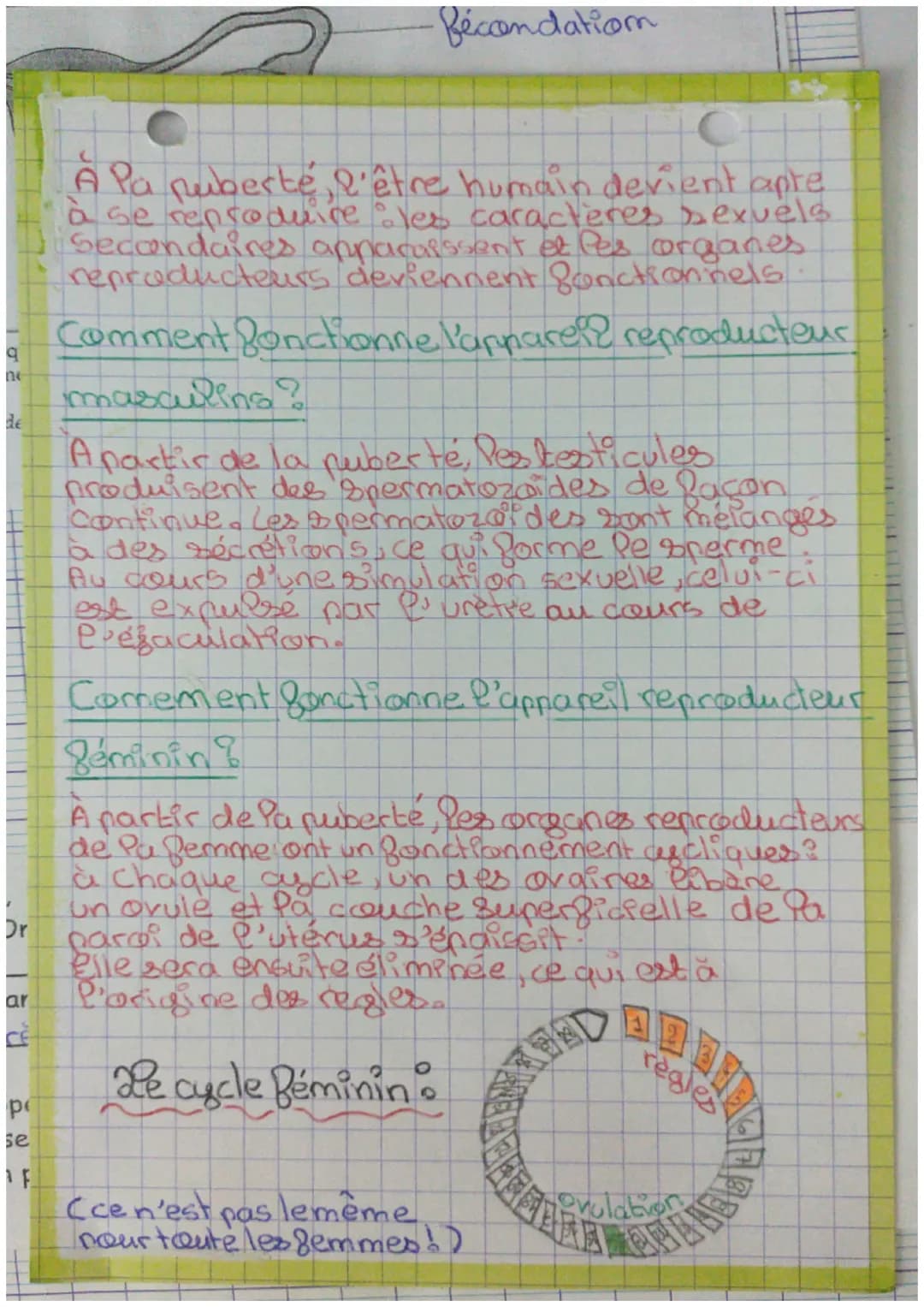 Ovulatiom
la reproduction
humaine
Quels changements se produisent chez Pes
garçons et Pes filles Pors de la puberté?
| Chez Pe garçon |