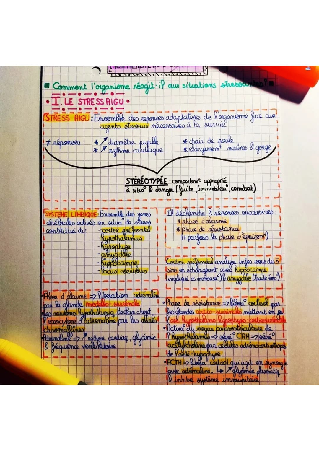 - Comment l'organiome réagit-il aux situations stressantes?
- I. LE STRESS AIGU.
STRESS AIGU: Ensemble des reponces adaptatives de l'organ
