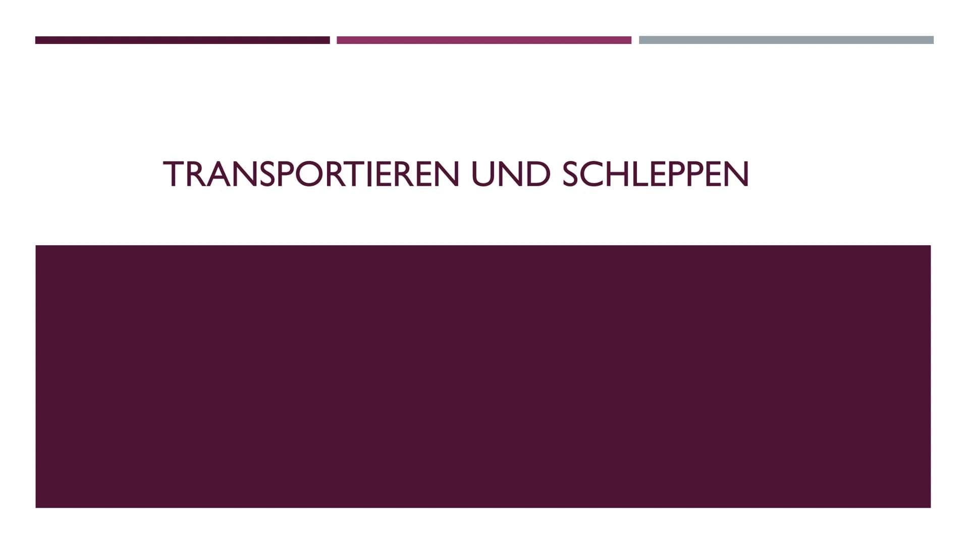 TRANSPORTIEREN UND SCHLEPPEN ALLGEMEINES
> Was ist bei den Ausführungen aller Schleppgriffe immer gleich:
* Bei allen müssen Mund und Na
