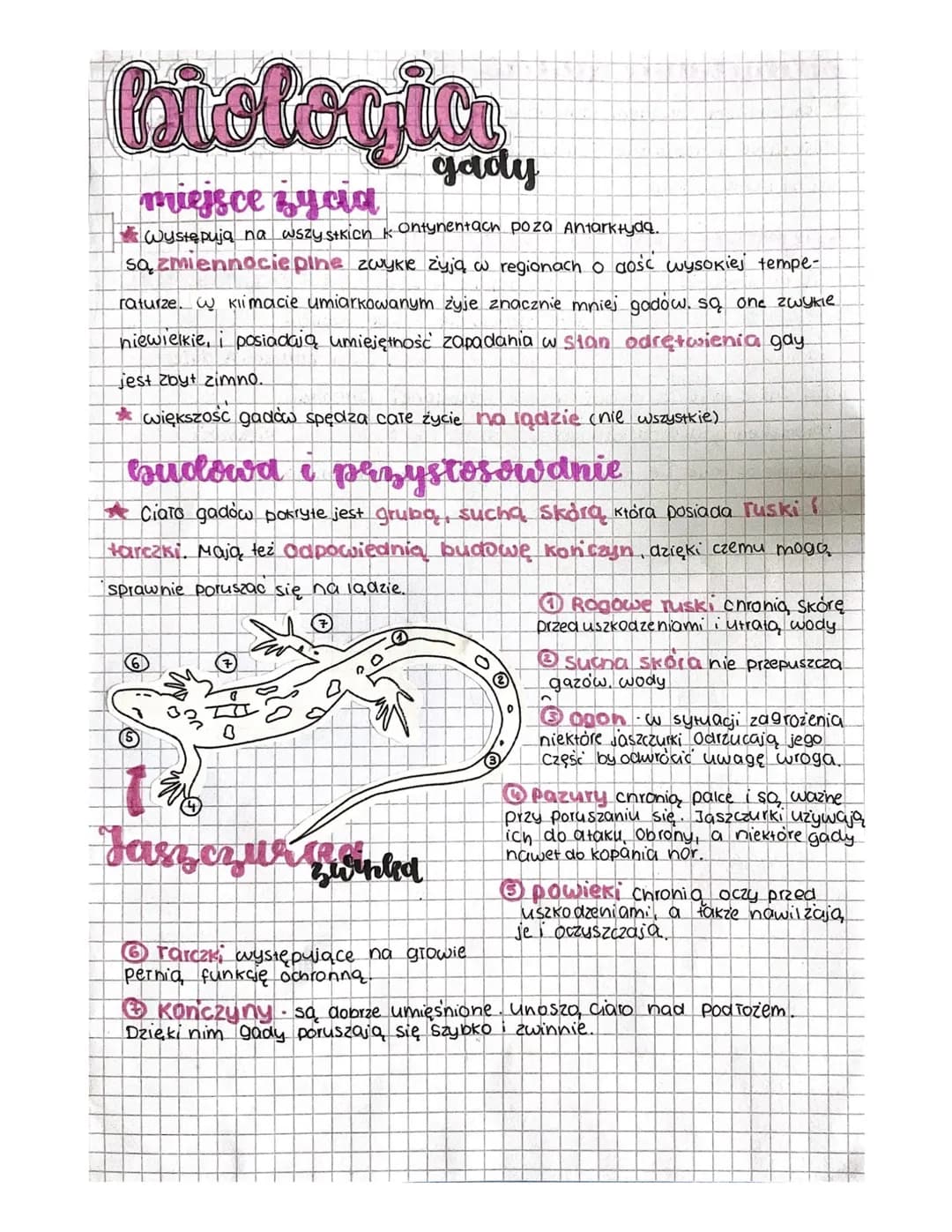 # biologia
miejsce zycia
gady
* Występują na wszystkich kontynentach poza Antarktydq.
są zmiennocieplne zwykle żyją w regionach o dość
