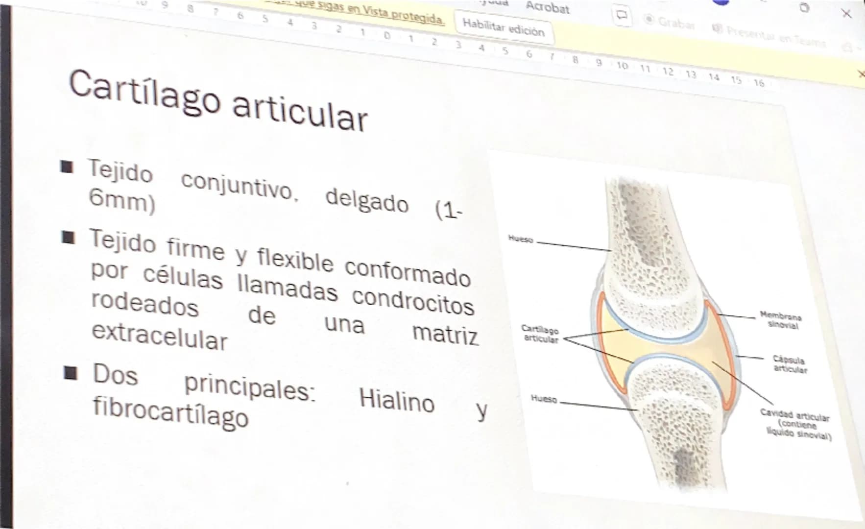 Acrobat
que sigas en Vista protegida. Habilitar edición
9
8
76
S
4
3
210123
Grabar Presentar en Teams
45
67
B
9
10 11 12 13 14 15 16
# Cart