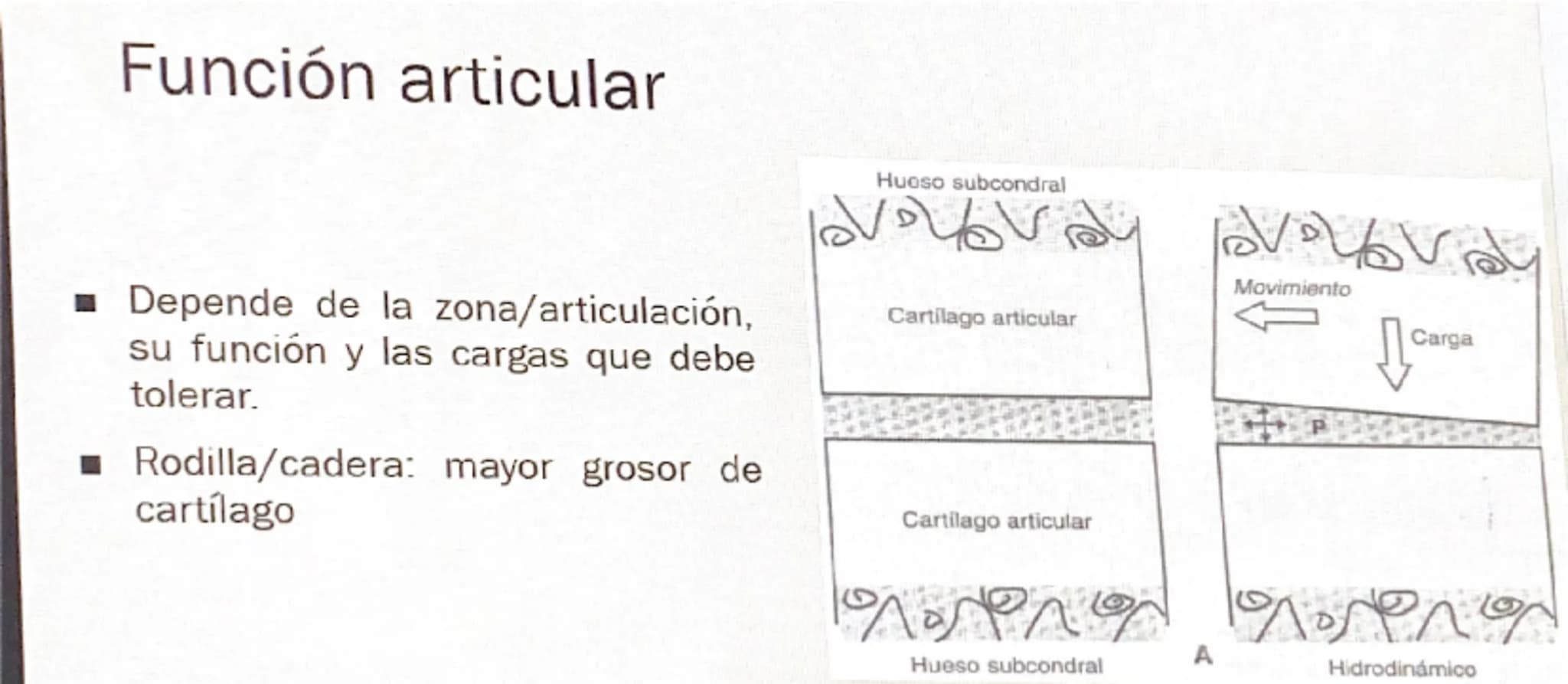Acrobat
que sigas en Vista protegida. Habilitar edición
9
8
76
S
4
3
210123
Grabar Presentar en Teams
45
67
B
9
10 11 12 13 14 15 16
# Cart