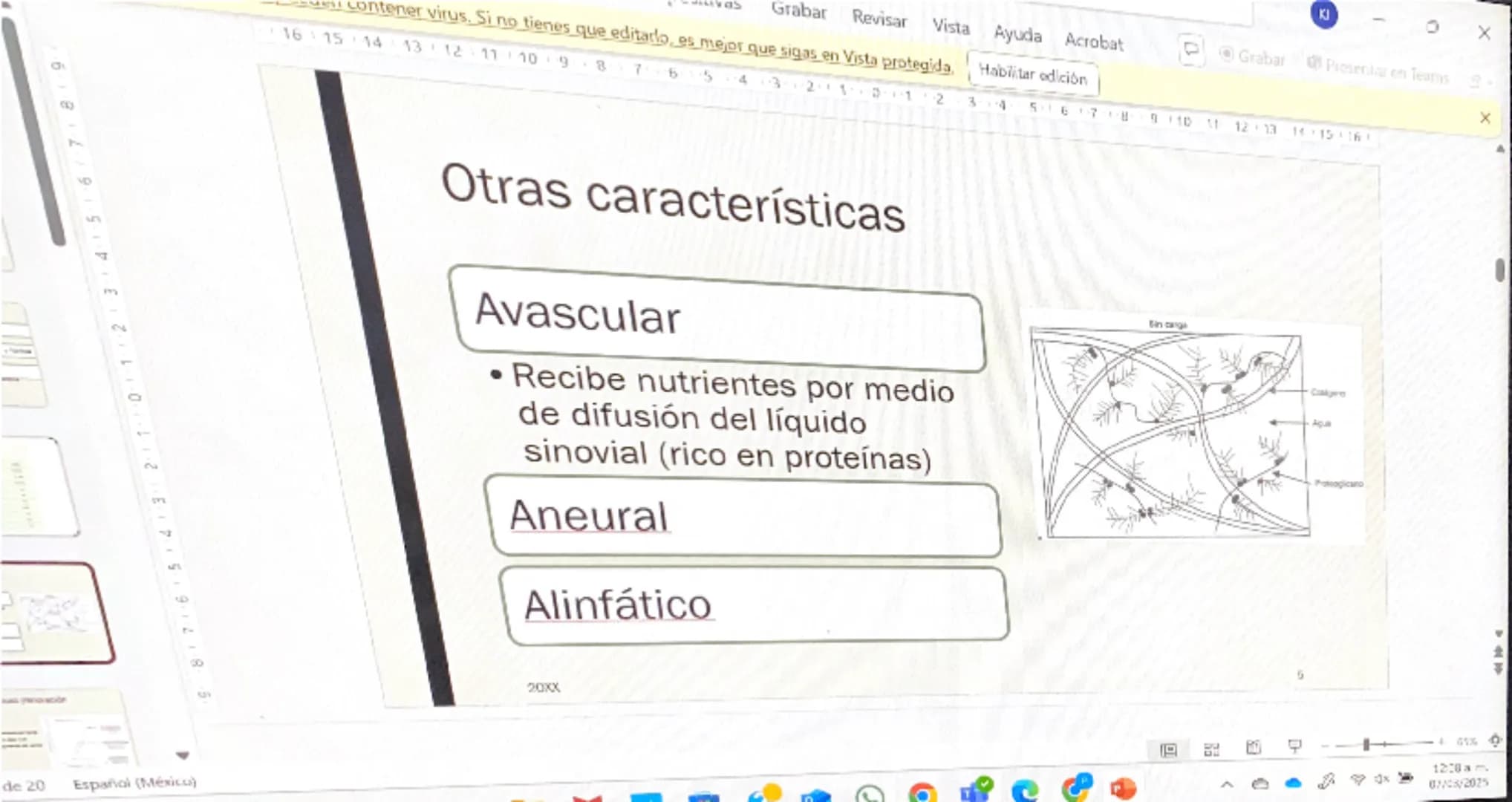 Acrobat
que sigas en Vista protegida. Habilitar edición
9
8
76
S
4
3
210123
Grabar Presentar en Teams
45
67
B
9
10 11 12 13 14 15 16
# Cart