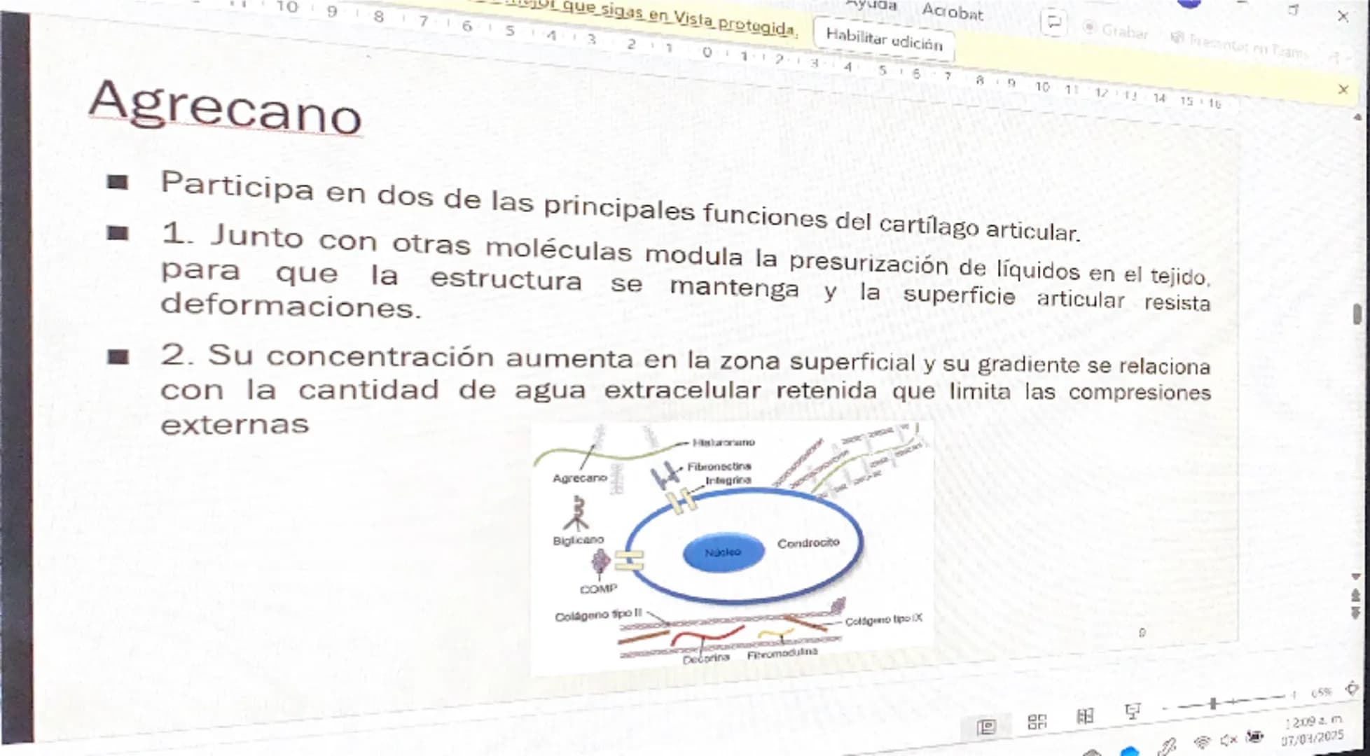 Acrobat
que sigas en Vista protegida. Habilitar edición
9
8
76
S
4
3
210123
Grabar Presentar en Teams
45
67
B
9
10 11 12 13 14 15 16
# Cart