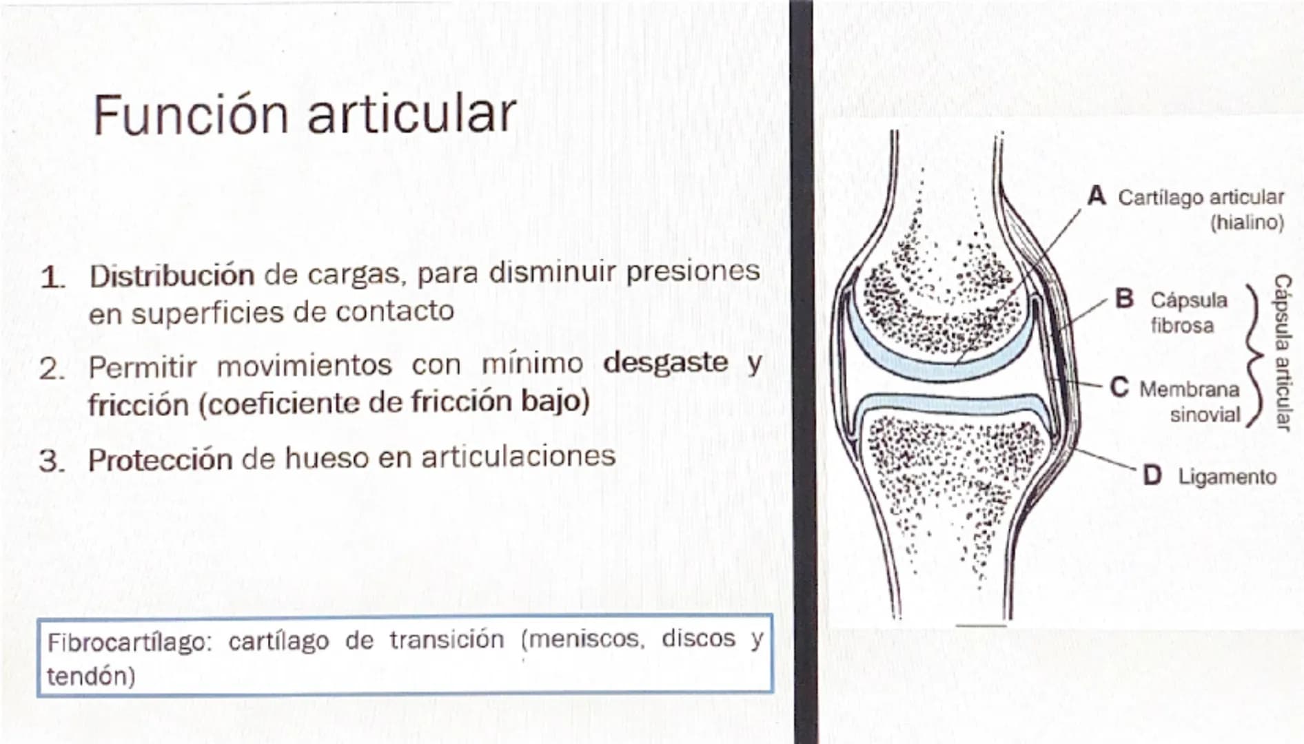 Acrobat
que sigas en Vista protegida. Habilitar edición
9
8
76
S
4
3
210123
Grabar Presentar en Teams
45
67
B
9
10 11 12 13 14 15 16
# Cart