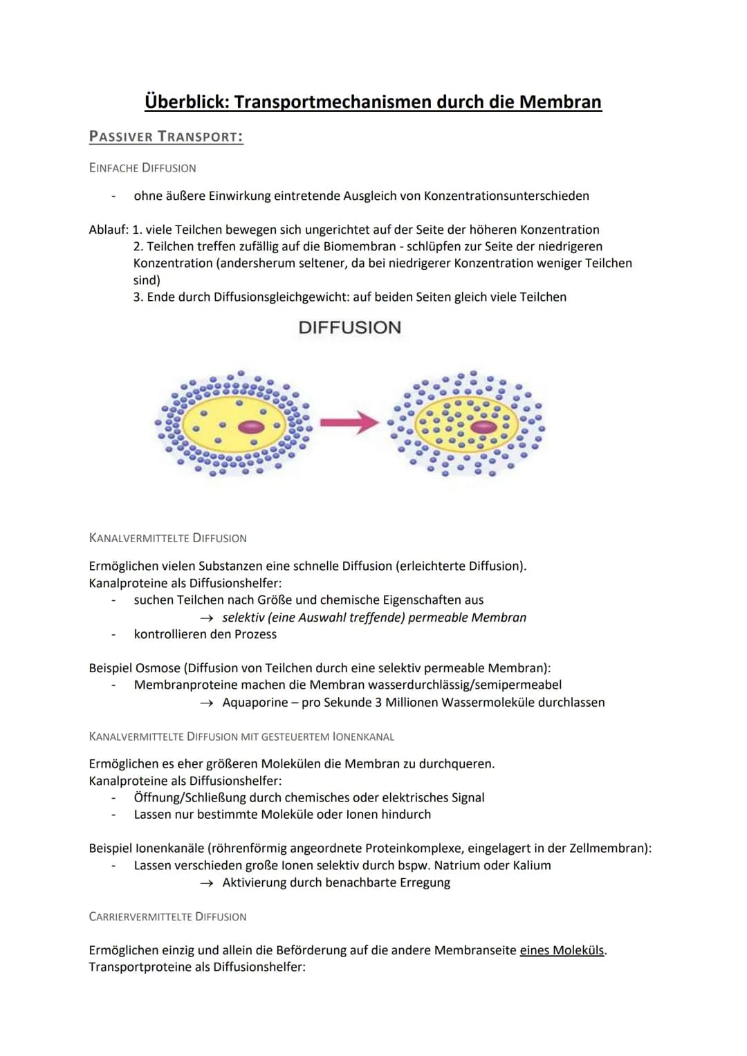 # Überblick: Transportmechanismen durch die Membran
PASSIVER TRANSPORT:
EINFACHE DIFFUSION
- ohne äußere Einwirkung eintretende Ausgleich