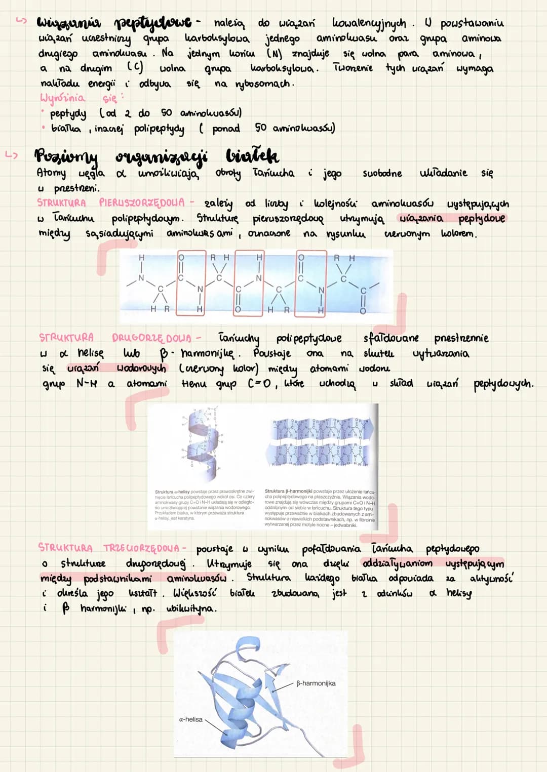 <h2>Funkcje białek w organizmie</h2>
<p>Białka są głównym składnikiem budulcowym komórek. Pełnią wiele różnorodnych funkcji w organizmie, t