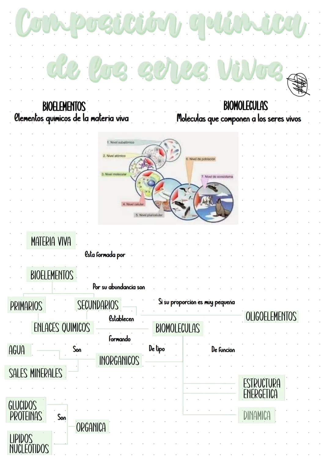 Campus
A4 8mm*21行 40頁
BUS
봄꽃행
Campus
۲۶
A4 YON
0 KOKUYO Sistemas Biológicos |
Clave: 1303
Profesora: Clizabeth Hernandez
Objetivo: Reconocer