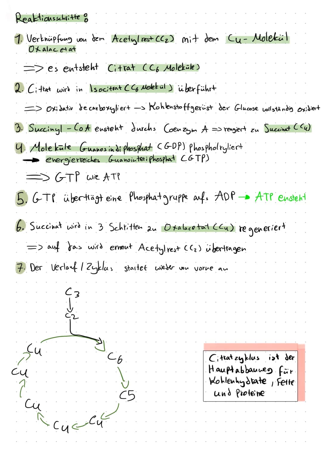Bio:
neve Methode: Citrattszyklus
Informationsblatt: Citratzyklus
02.06.22
Aufgabe: Lesen Sie das Infoblatt in Einzelarbeit und markieren