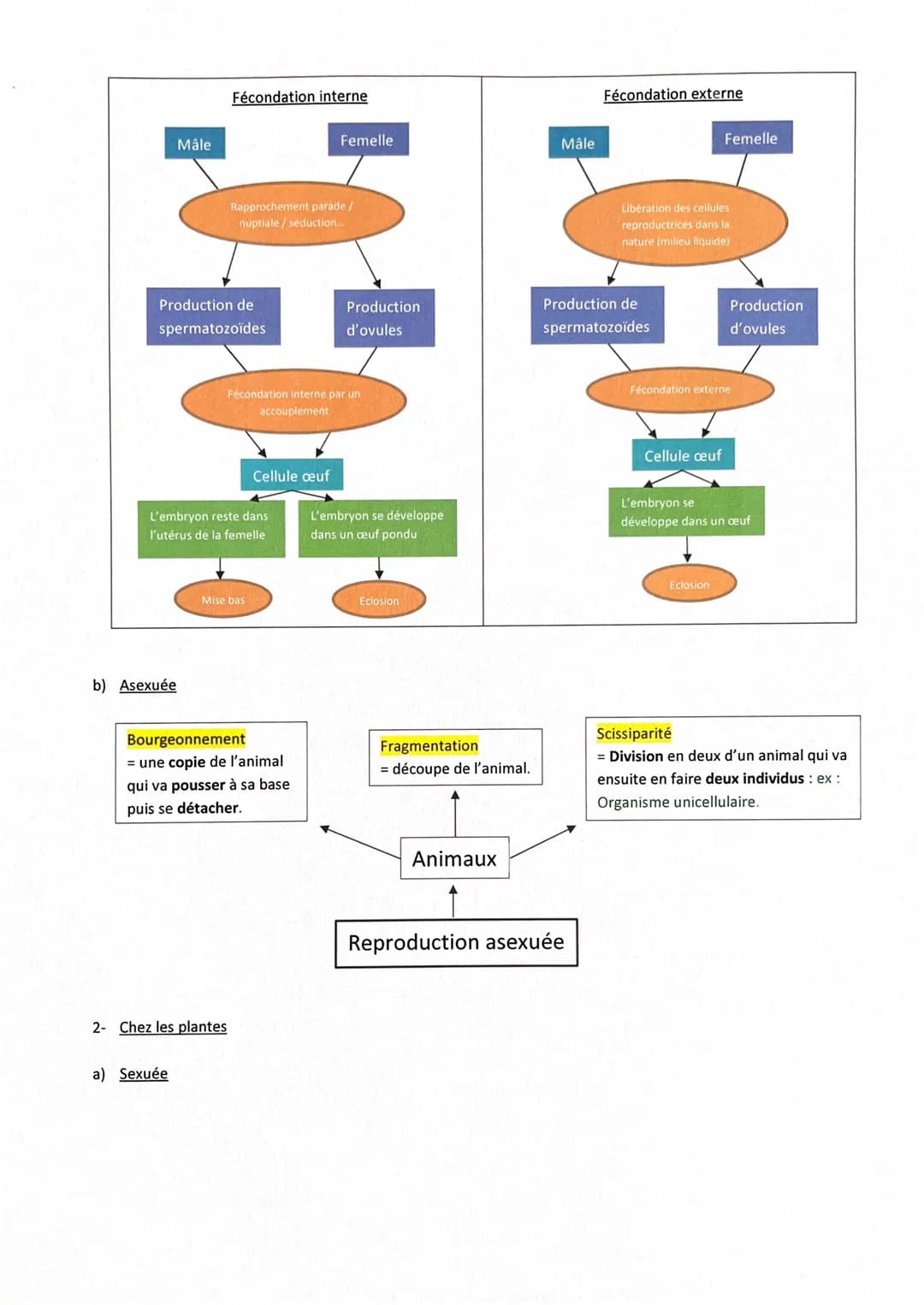 # Fiche de révisions Brevet: La reproduction sexuelle
|-
Rappels
✓ Chez l'espèce humaine, deux hommes ou deux femmes ne peuvent pas engen