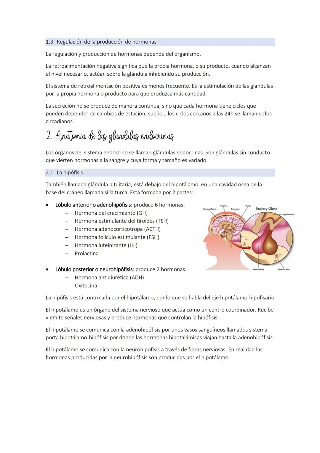 # TEMA 9: el sistema endocrino
1. El sistema endocrino
El sistema endocrino y el sistema nervioso componen los sistemas de coordinación.