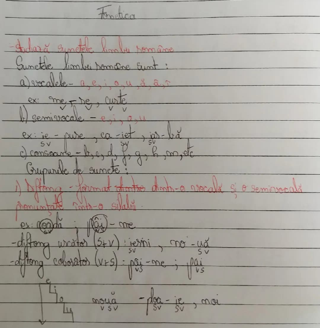Fonetica
-Studiază sunetele limbu române
Sunetele limbei somaine sunt :
a) escalele - a, e, i, o, u, a, â, î
ex: me-, de, curte
b) semivoca