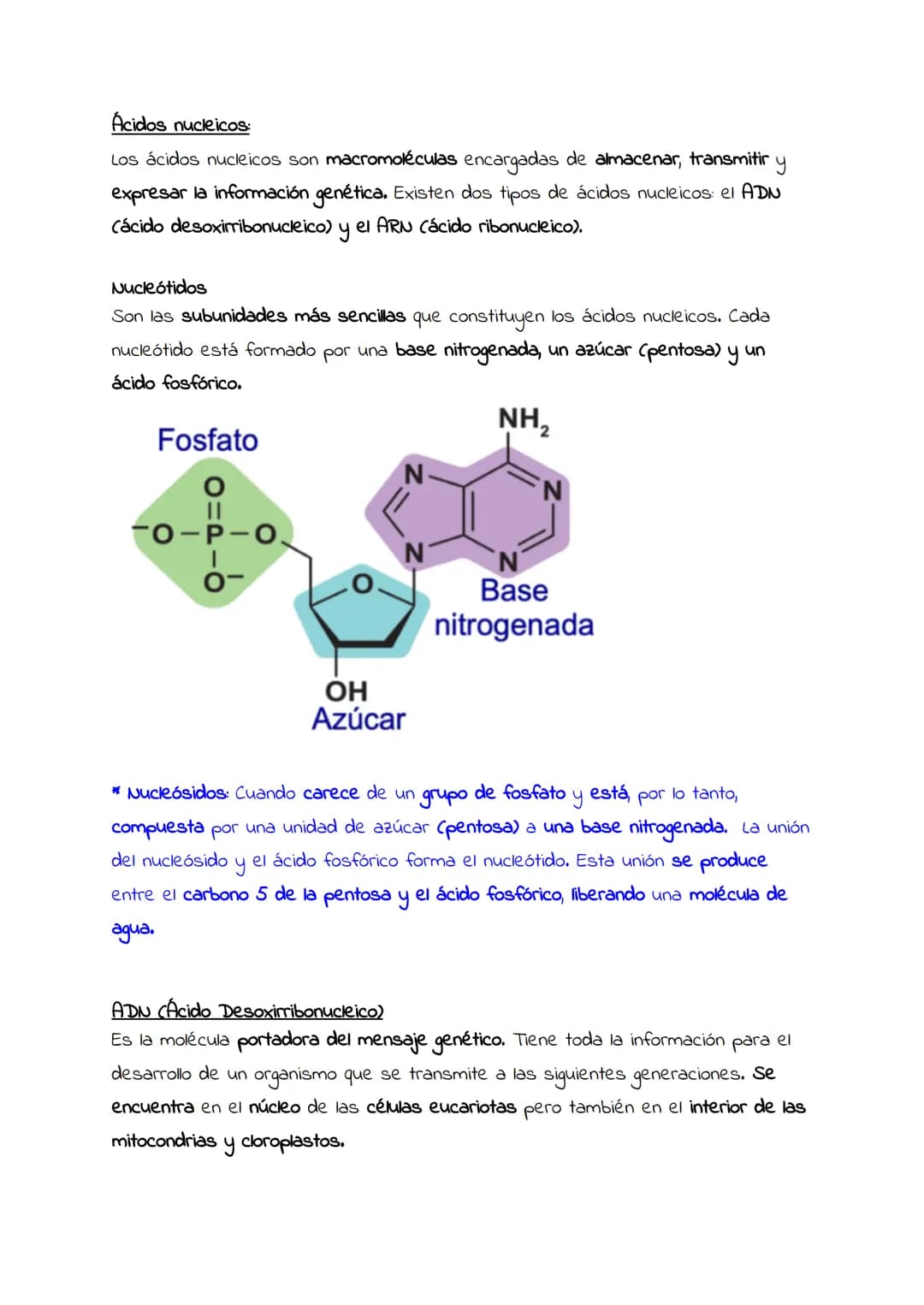 Ácidos nucleicos:
concepto y
significado biológico.
Nucleótidos.
Estructura general
de los ácidos
nucleicos.
ADN Y ARN. # Ácidos nucleicos:
