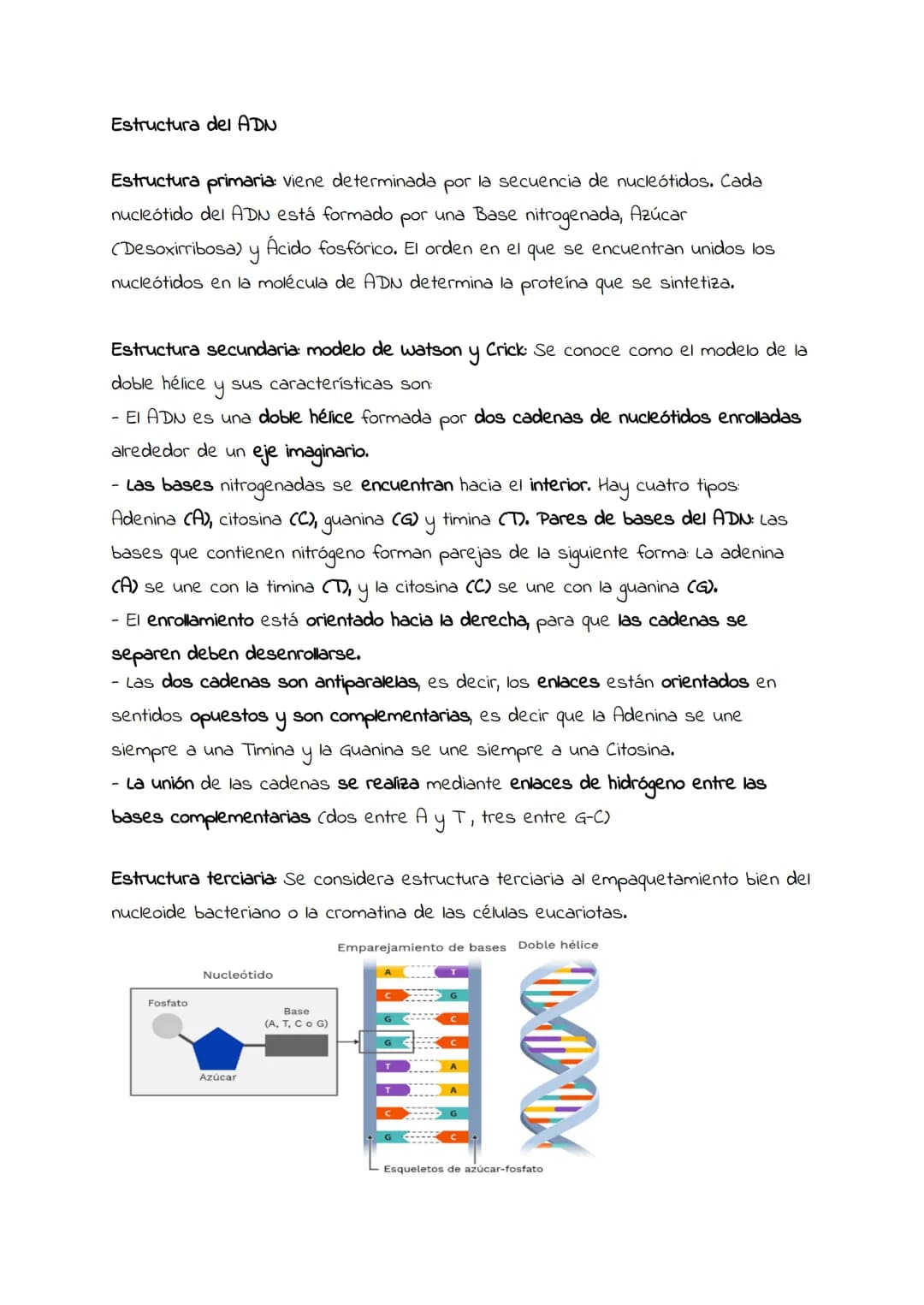 Ácidos nucleicos:
concepto y
significado biológico.
Nucleótidos.
Estructura general
de los ácidos
nucleicos.
ADN Y ARN. # Ácidos nucleicos: