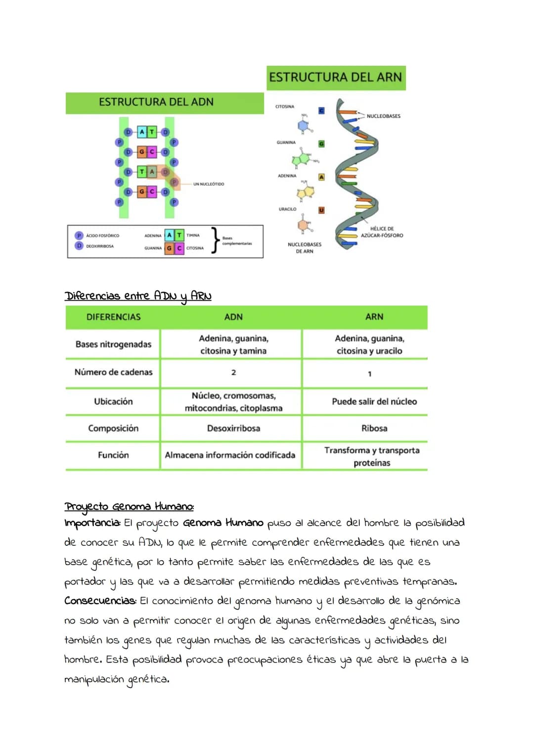 Ácidos nucleicos:
concepto y
significado biológico.
Nucleótidos.
Estructura general
de los ácidos
nucleicos.
ADN Y ARN. # Ácidos nucleicos: