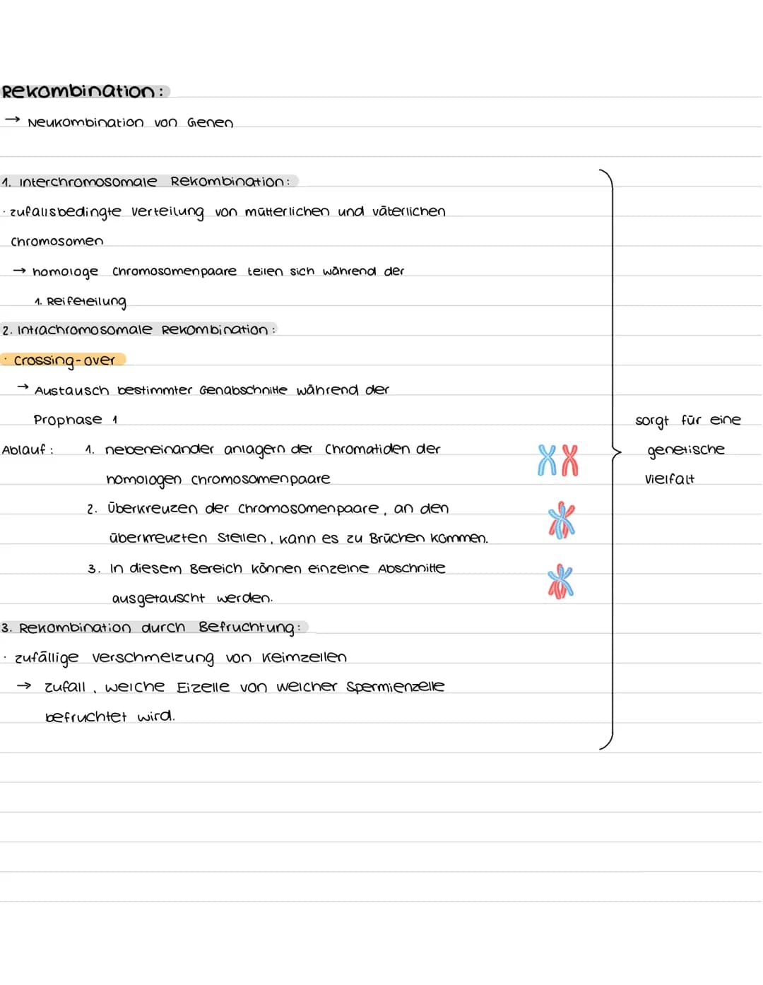 # biologie abibur
GK 2023
INHALTSFELDER:
1. zellbiologie
1.1 Grundlage
3. ōkologie
3.1 Umweltfaktoren
5. Neurobiologie
5.1 Nervenzel