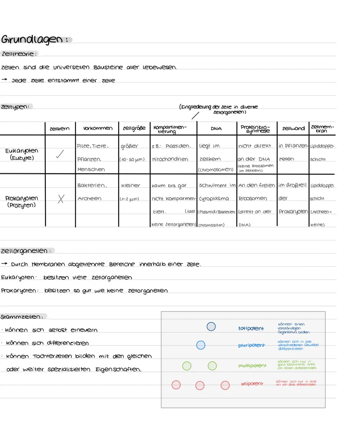 # biologie abibur
GK 2023
INHALTSFELDER:
1. zellbiologie
1.1 Grundlage
3. ōkologie
3.1 Umweltfaktoren
5. Neurobiologie
5.1 Nervenzel