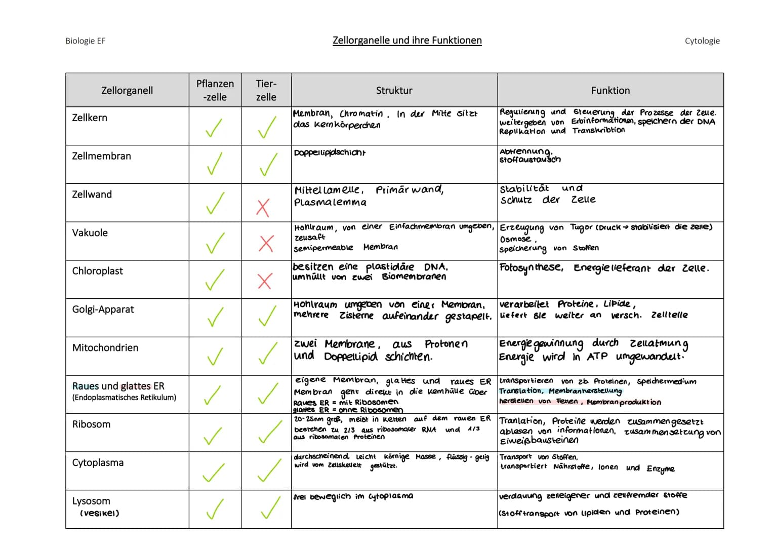 # biologie abibur
GK 2023
INHALTSFELDER:
1. zellbiologie
1.1 Grundlage
3. ōkologie
3.1 Umweltfaktoren
5. Neurobiologie
5.1 Nervenzel