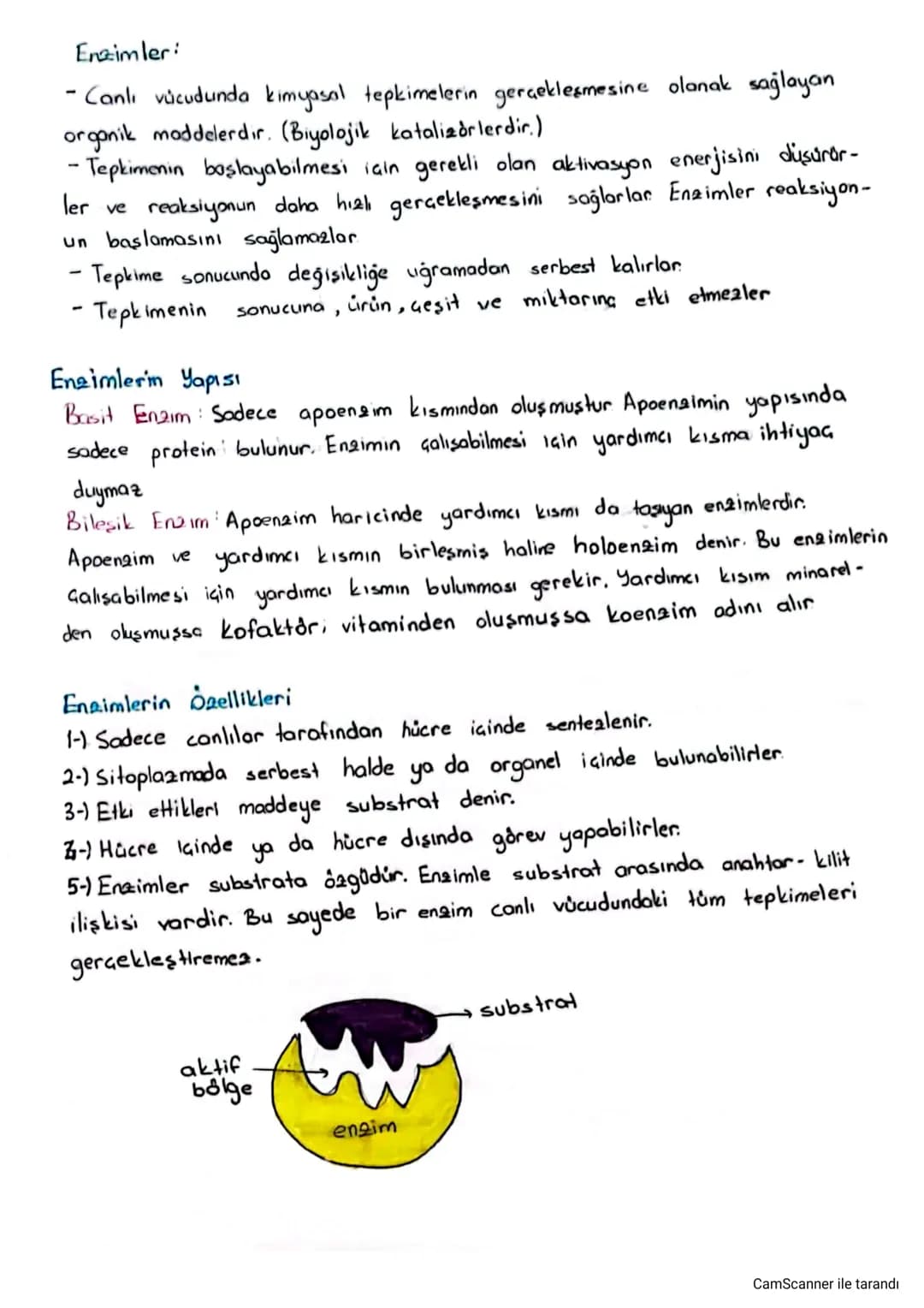 # Enzimler:
- Canlı vücudunda kimyasal tepkimelerin gerçekleşmesine olanak sağlayan
organik maddelerdır. (Biyolojik katalizörlerdir.)
- Tepk