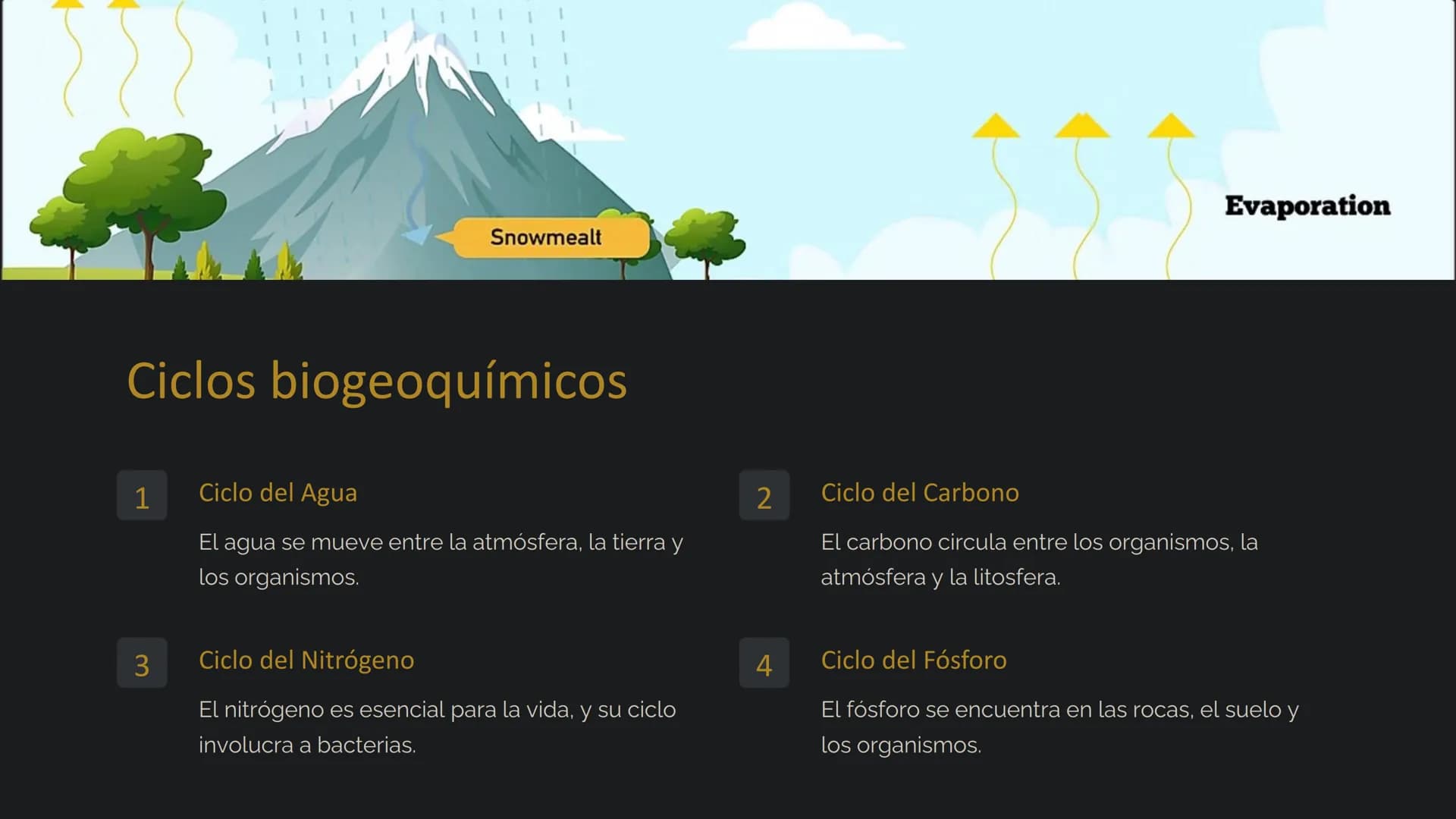 # la Ecología
La ecología es el estudio de las relaciones entre los
organismos y su entorno. Examina cómo interactúan los seres
vivos entre