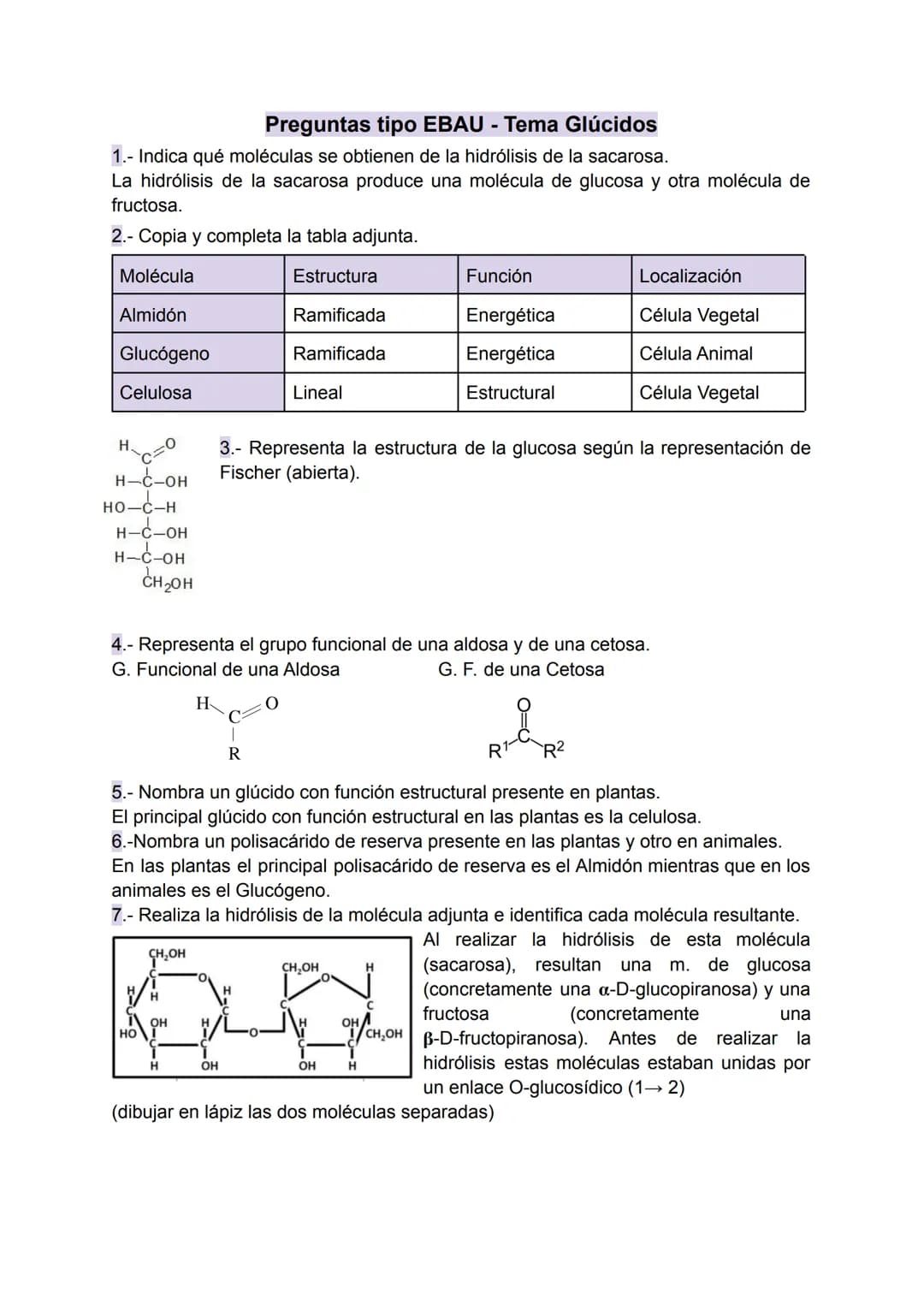 # Preguntas tipo EBAU - Tema Glúcidos
1.- Indica qué moléculas se obtienen de la hidrólisis de la sacarosa.
La hidrólisis de la sacarosa pr