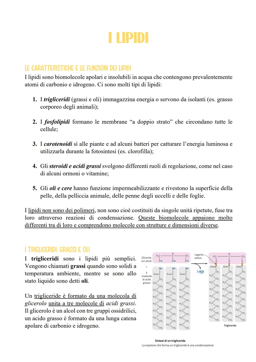 Una molecola come questa, con un'estremità idrofila e una lunga coda idrofobica, si
definisce anfipatica.
Quando il gruppo carbossilico di