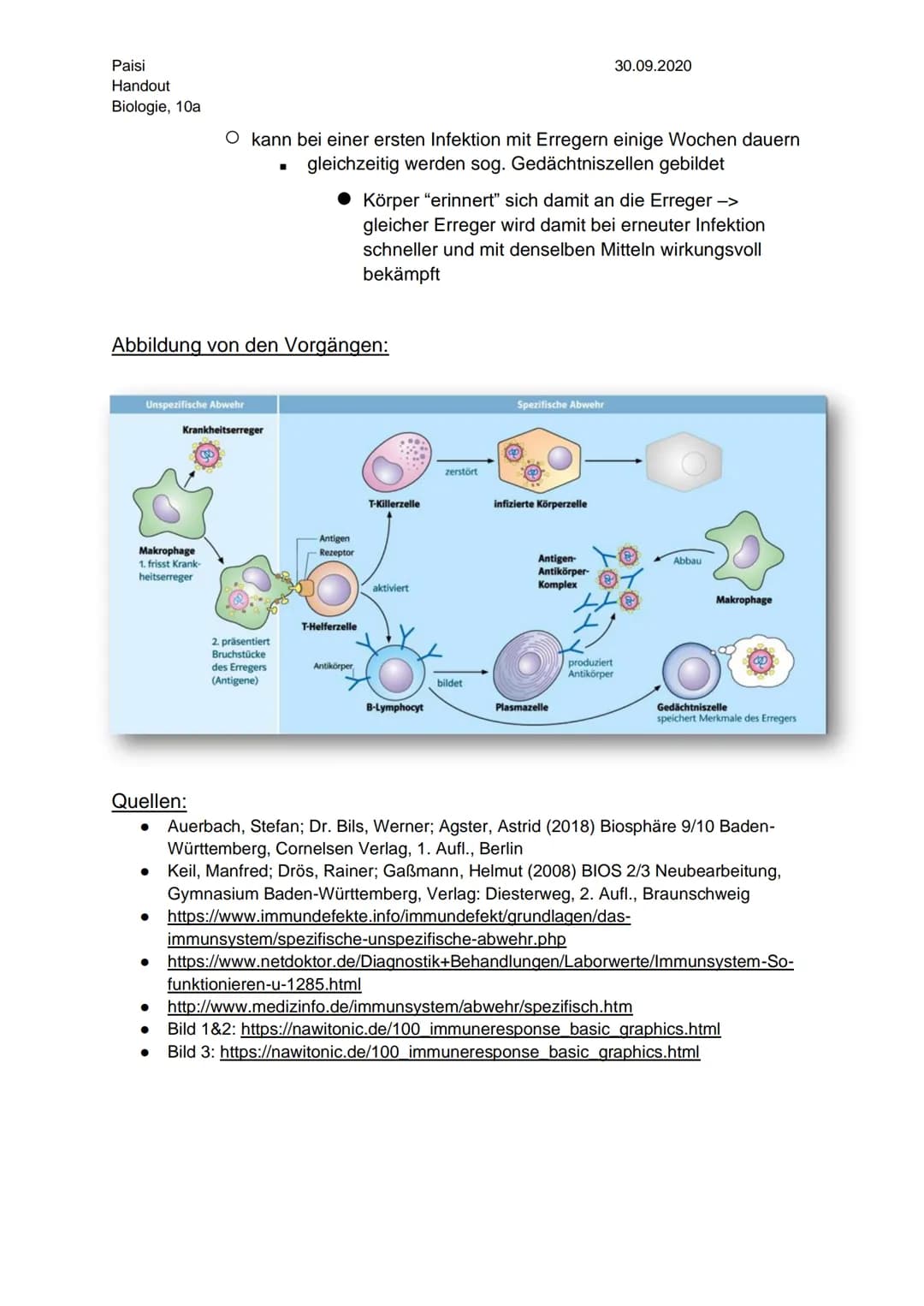 Paisi
Handout
Biologie, 10a
30.09.2020
# Unspezifische/spezifische Immunabwehr
## Unspezifische Immunabwehr:
- erstes Schutzschild des Kö