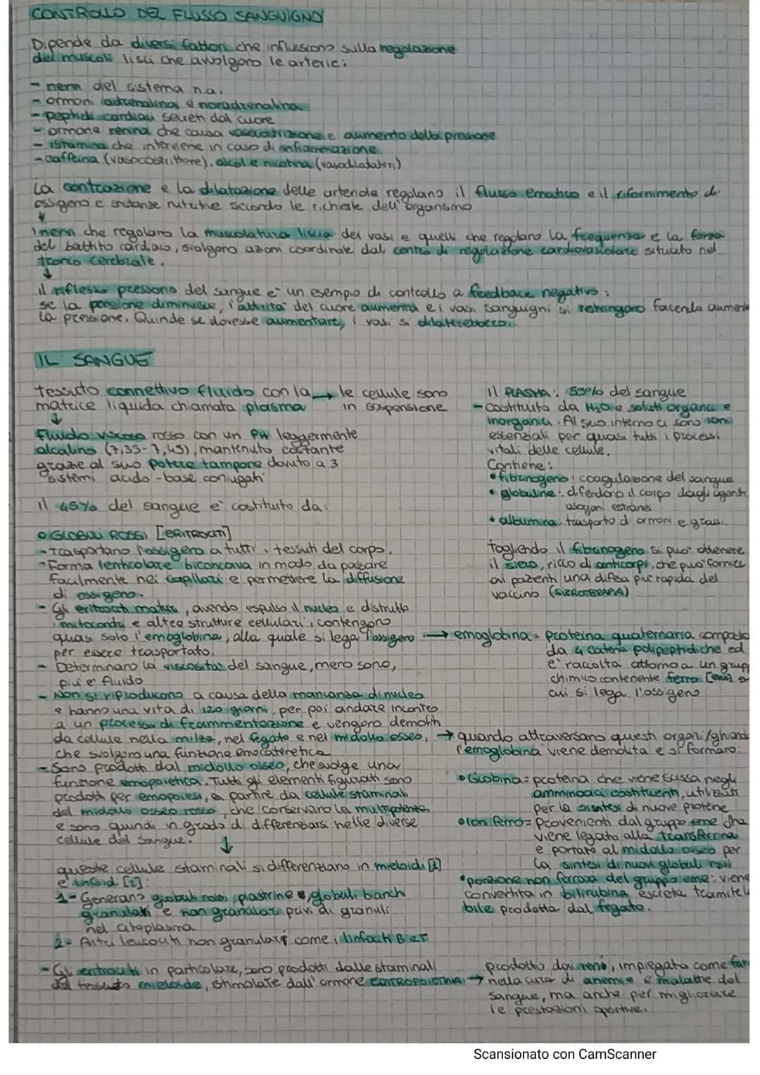 # APPARATO CIRCOLATORIO
Hail compito di portare il sangue a tutti gli orgam e tesuti
e formato da.
* AQUONS (TEUTO Микола).
* A rete
