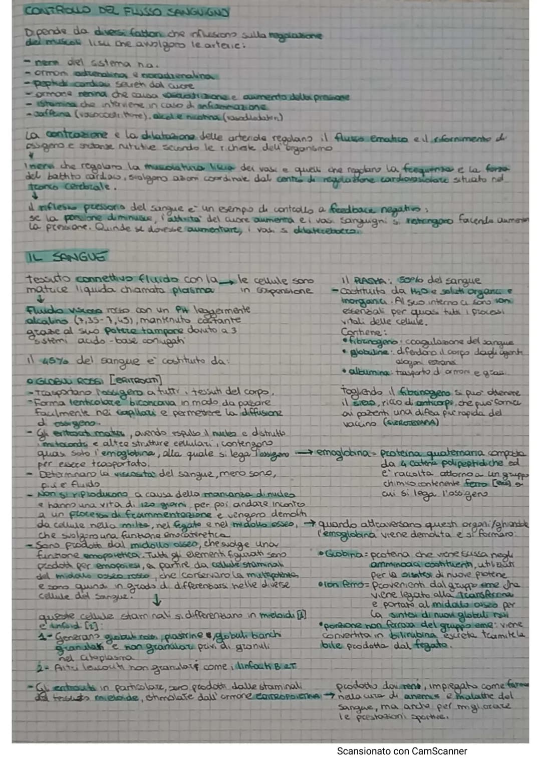 # APPARATO CIRCOLATORIO
Hail compito di portare il sangue a tutti gli orgam e tesuti
e formato da.
* AQUONS (TEUTO Микола).
* A rete