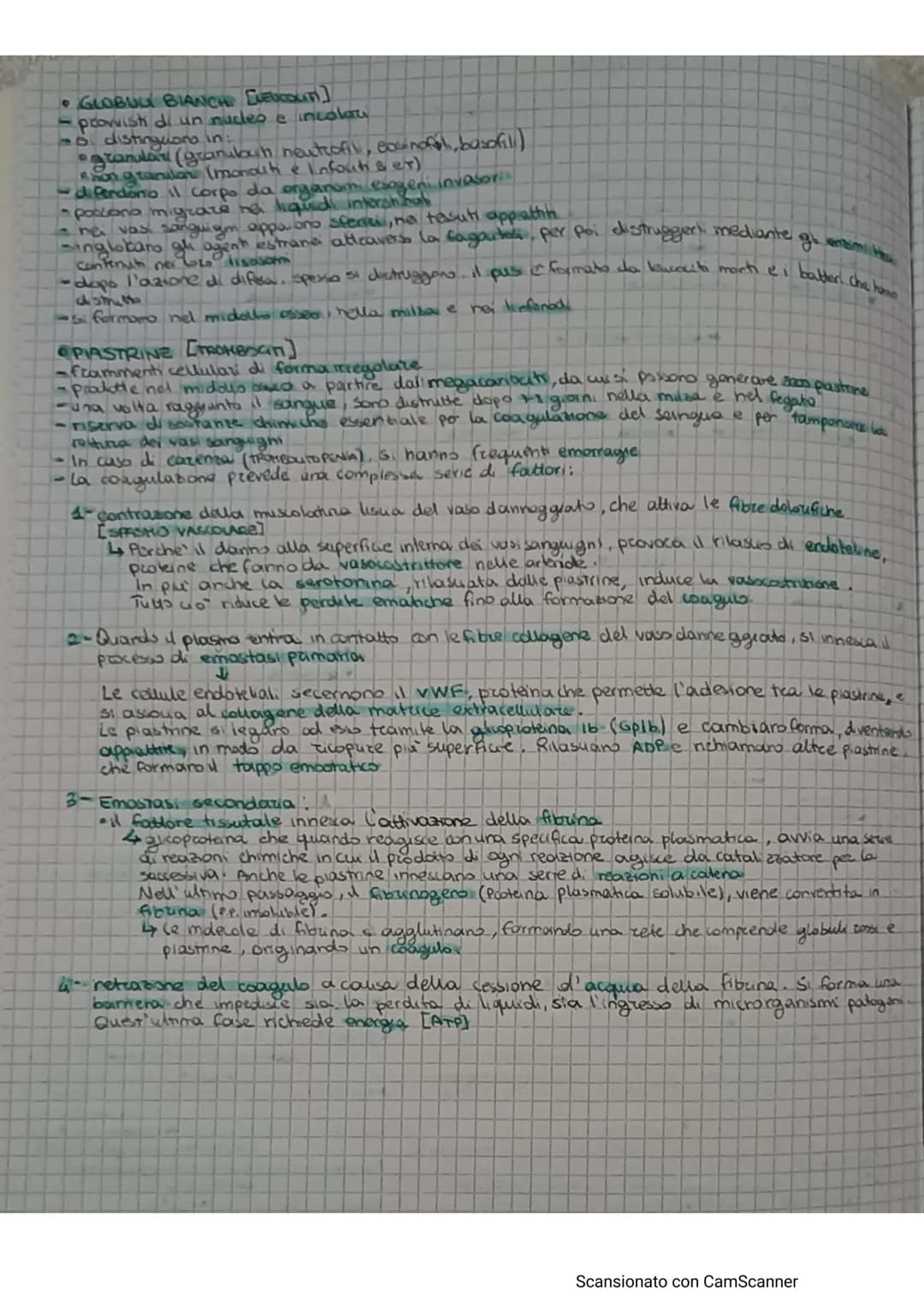# APPARATO CIRCOLATORIO
Hail compito di portare il sangue a tutti gli orgam e tesuti
e formato da.
* AQUONS (TEUTO Микола).
* A rete