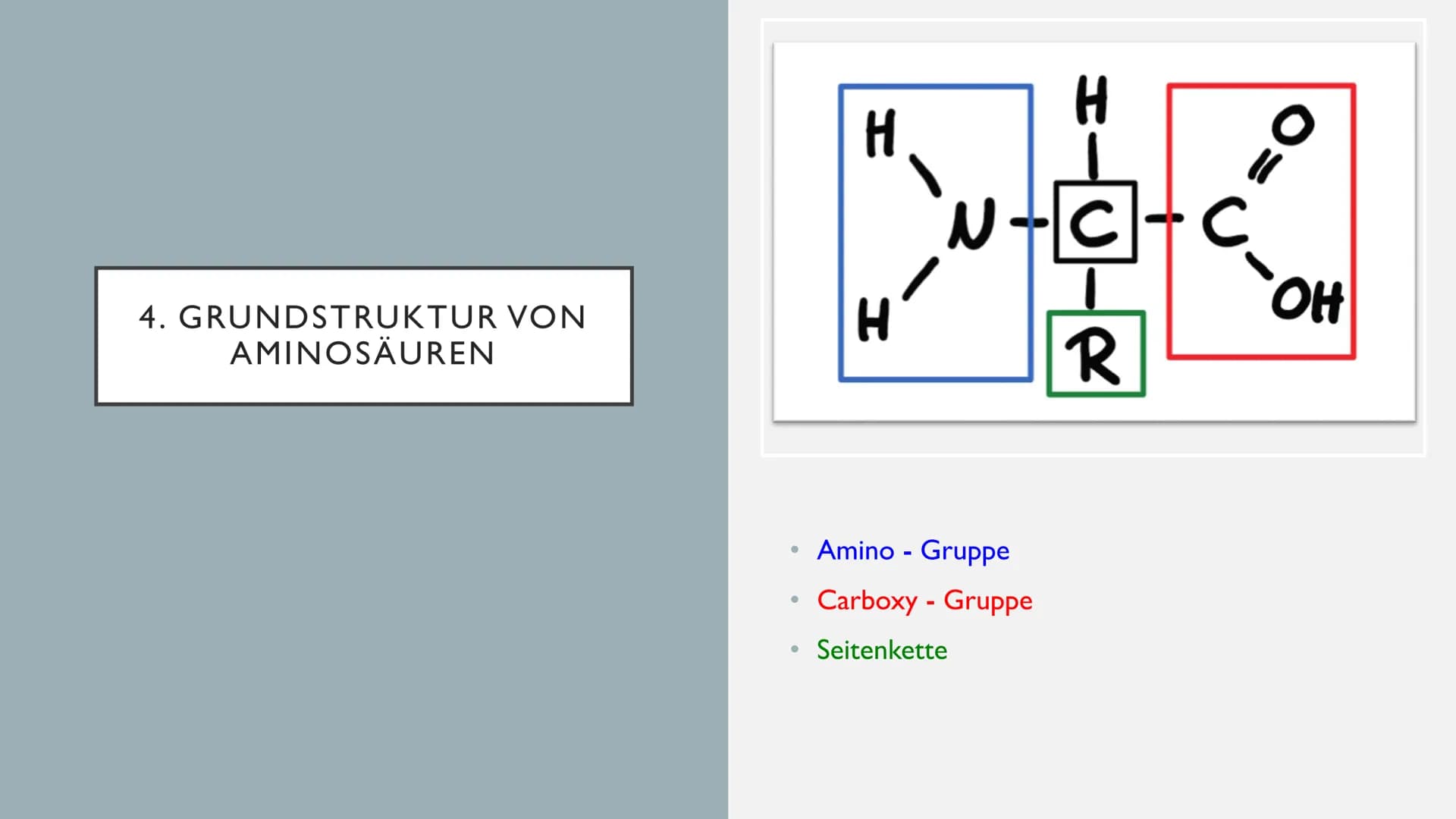 AMINOSÄUREN INHALTSVERZEICHNIS
1. allgemeine Informationen
2. Alpha- Aminosäuren
3. Proteine
4. Grundstruktur von Aminosäuren
5. Eigenschaf